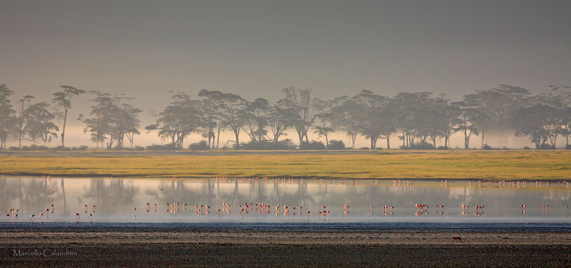 Ngorongoro Crater, Lake Magadi