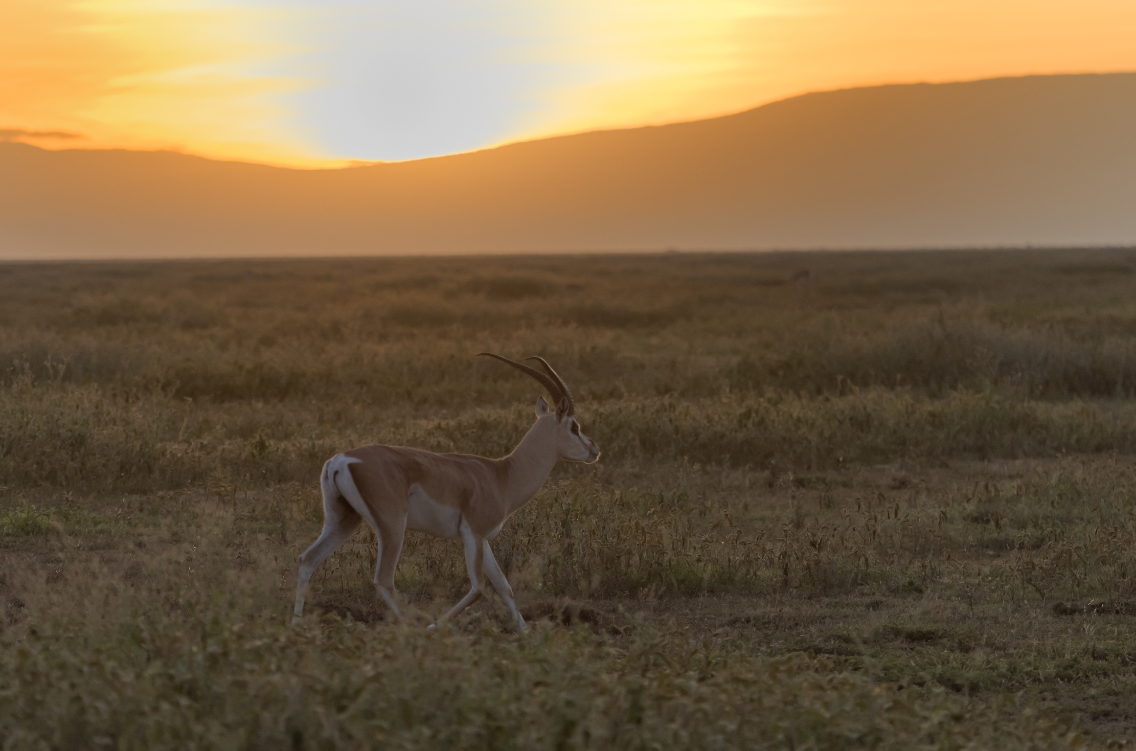 Tanzania 2016 - All'alba