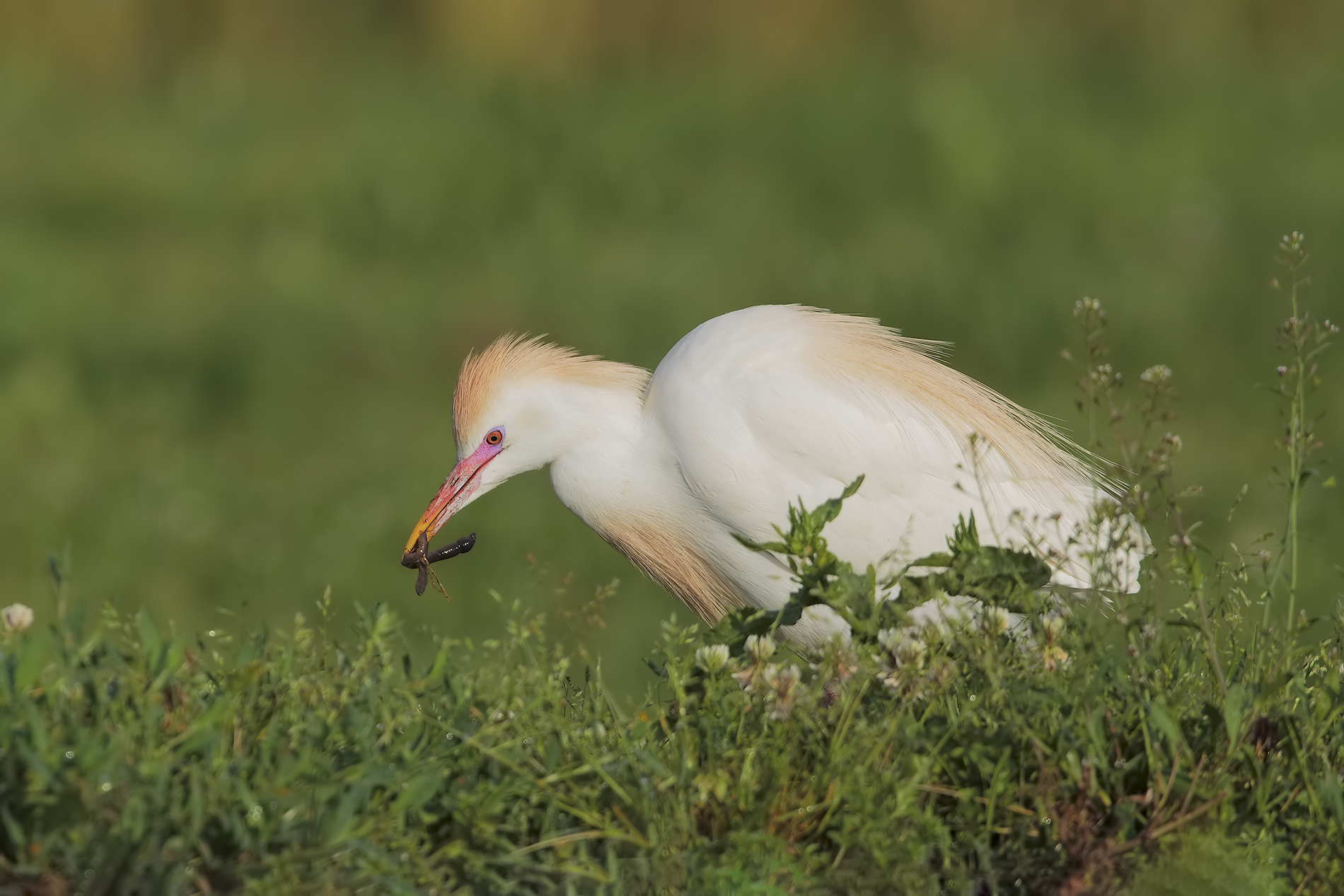 lunches morning .... 2