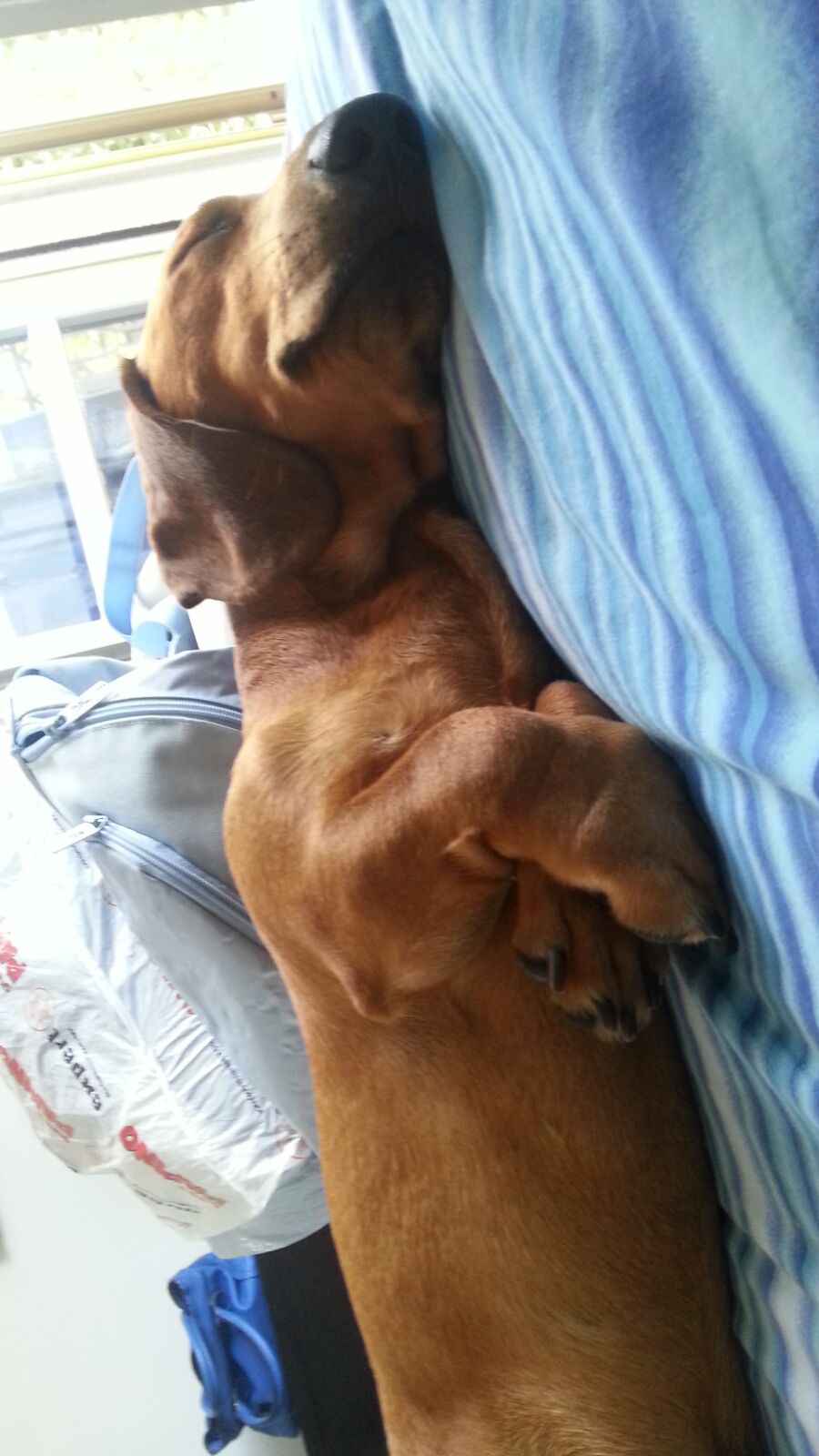 zzzzzzzzzzzzzzzzzzzzz 2