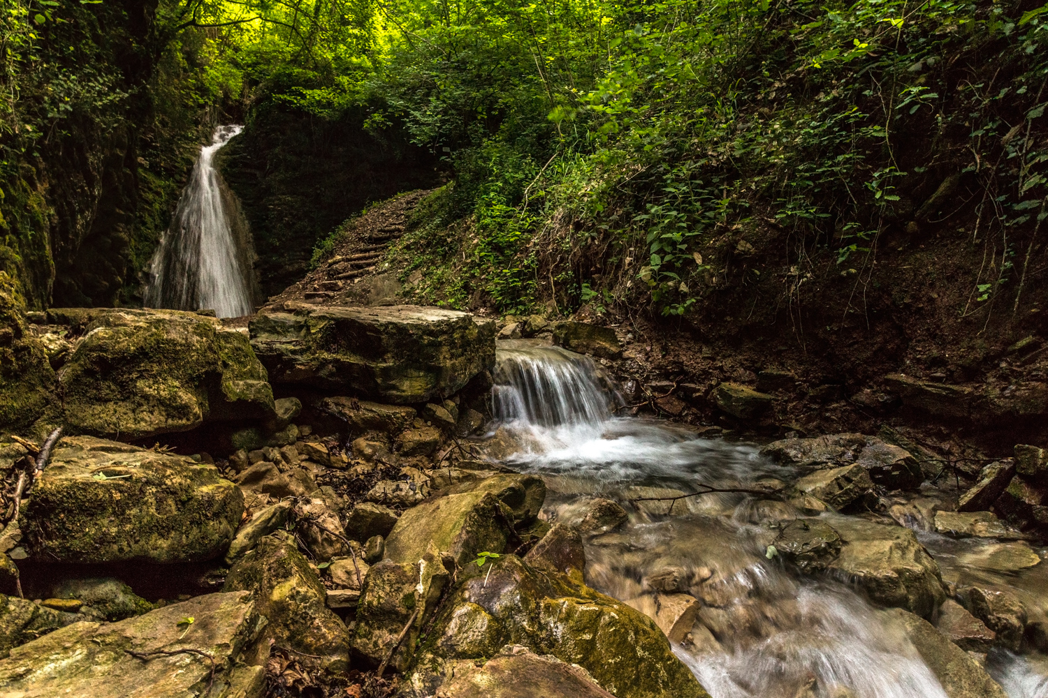 la fonte della giovinezza