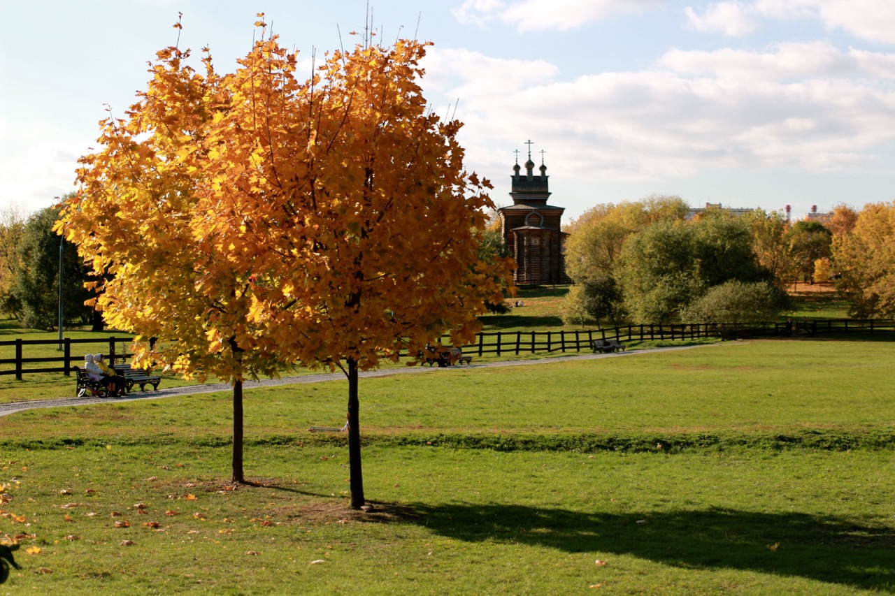 Kolomenskoe Park