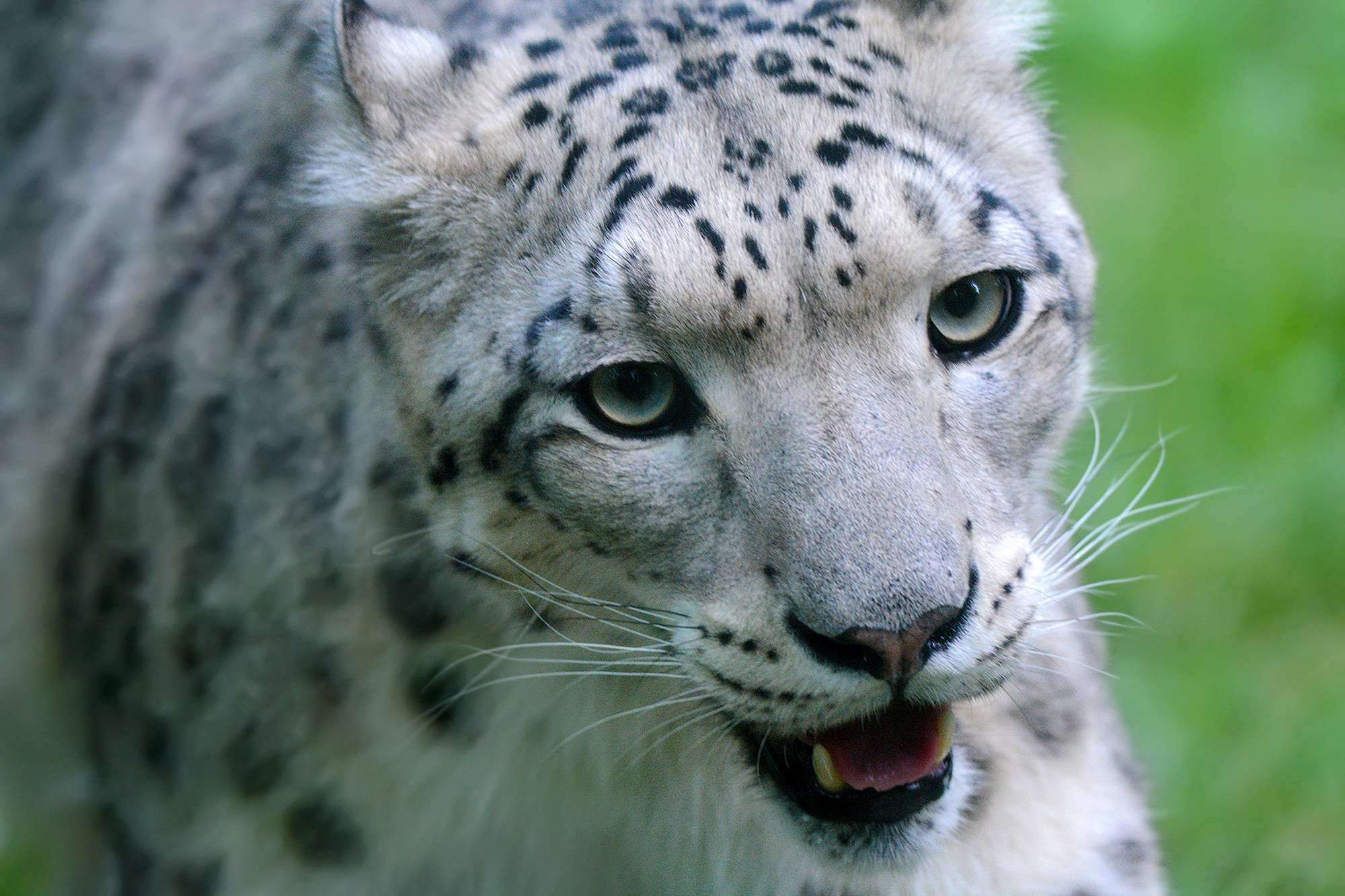 wildlife park "The Bog"