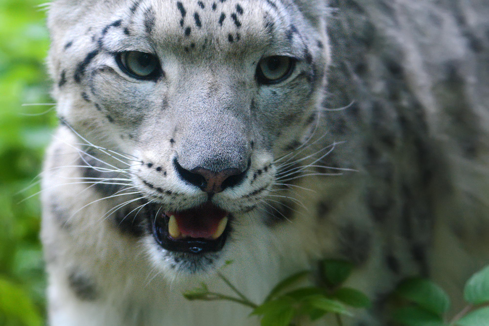 Parco faunistico "La Torbiera"