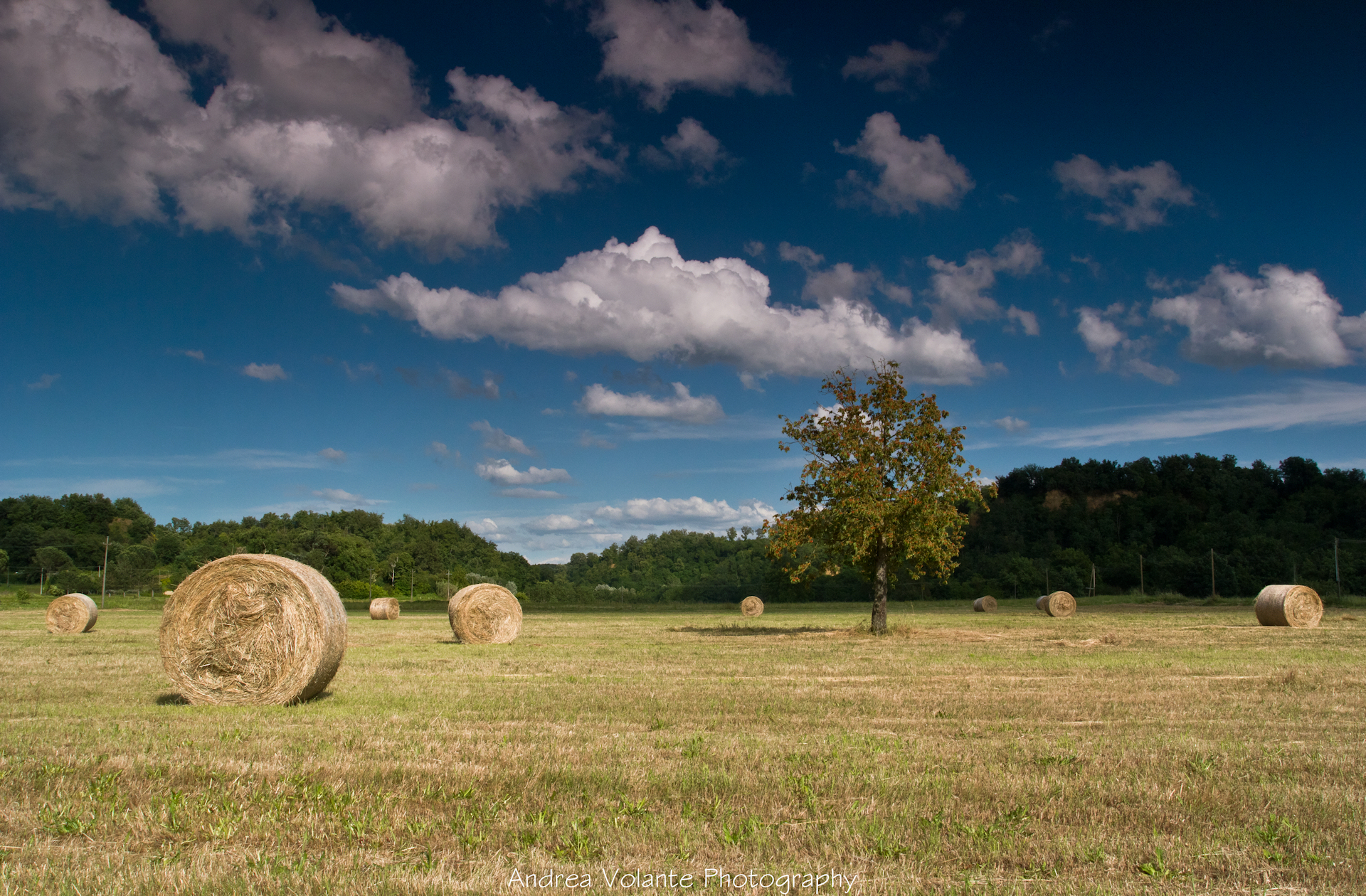 ..a afternoon in late May to the Pen