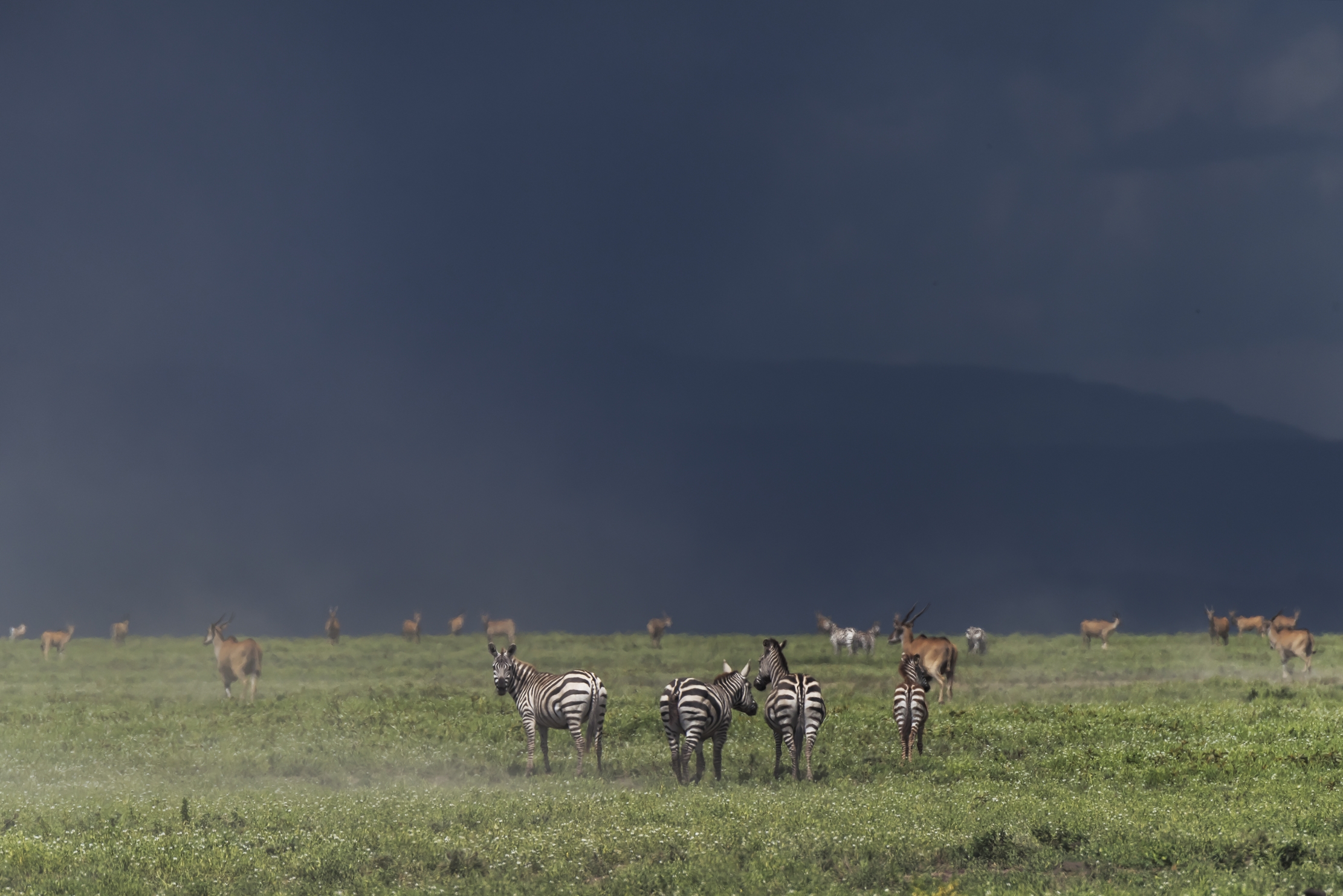 Tanzania 2016 - Aria di tempesta 2
