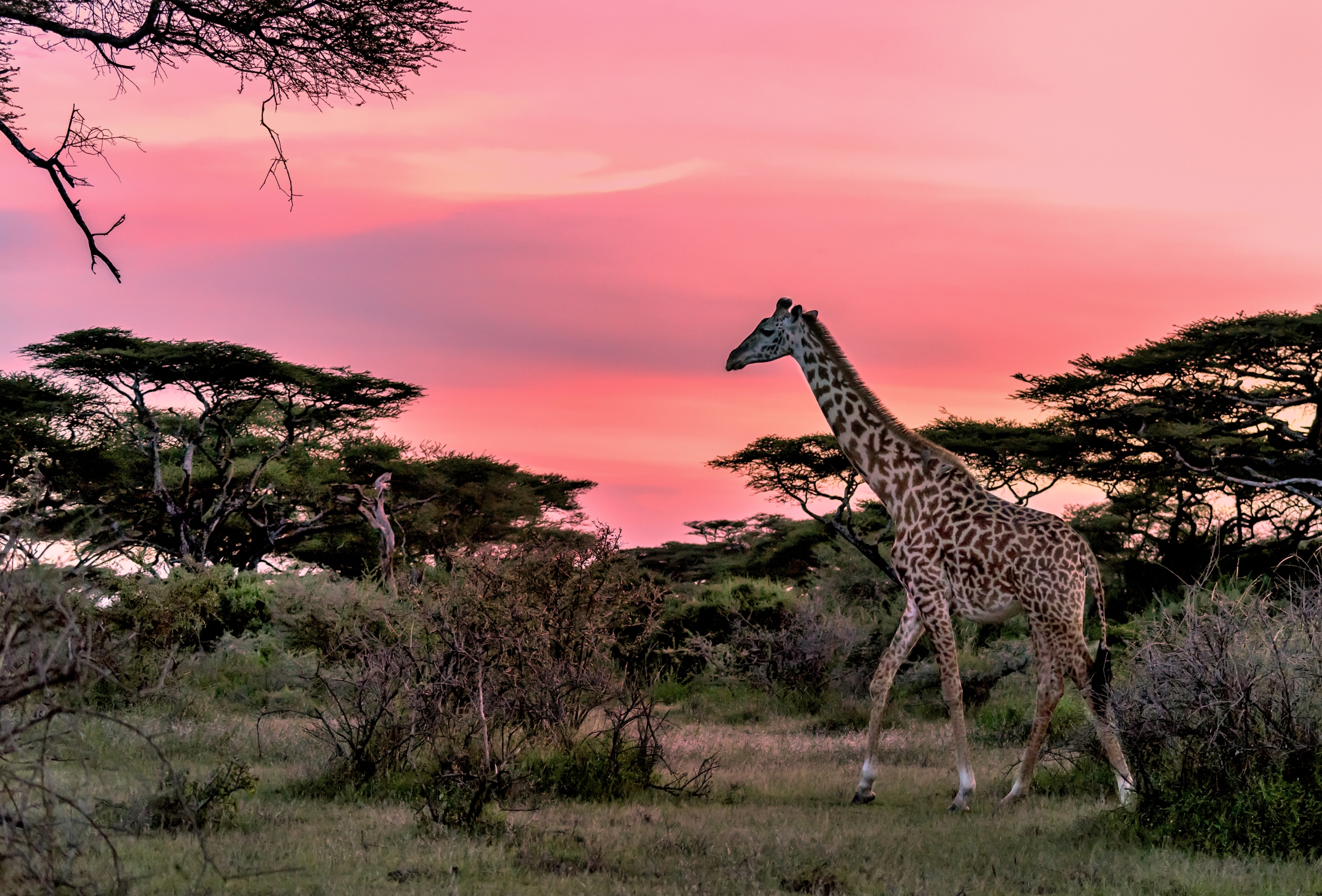 Tanzania 2016 - Passeggiata serale