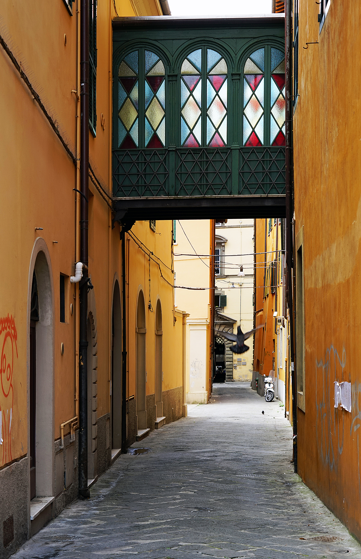 Alley in Pisa