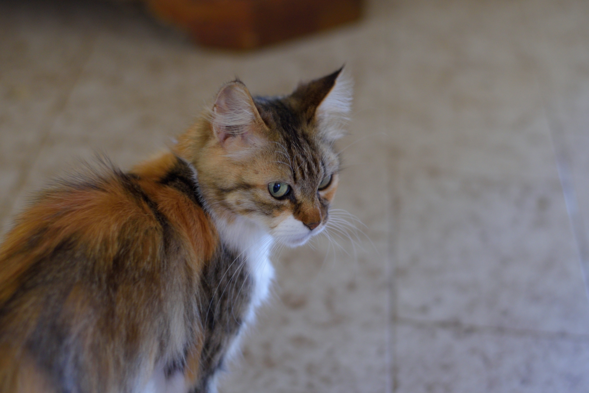 My dear friend "Ya 'Ya'