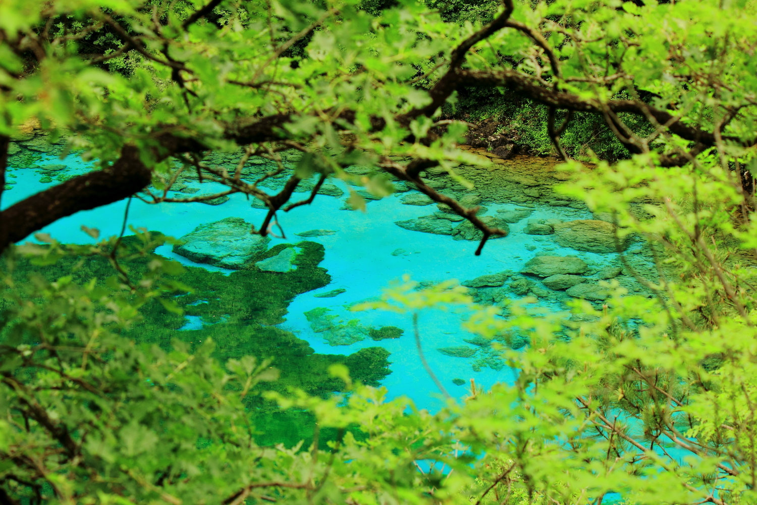 scorcio del lago di cornino ud.
