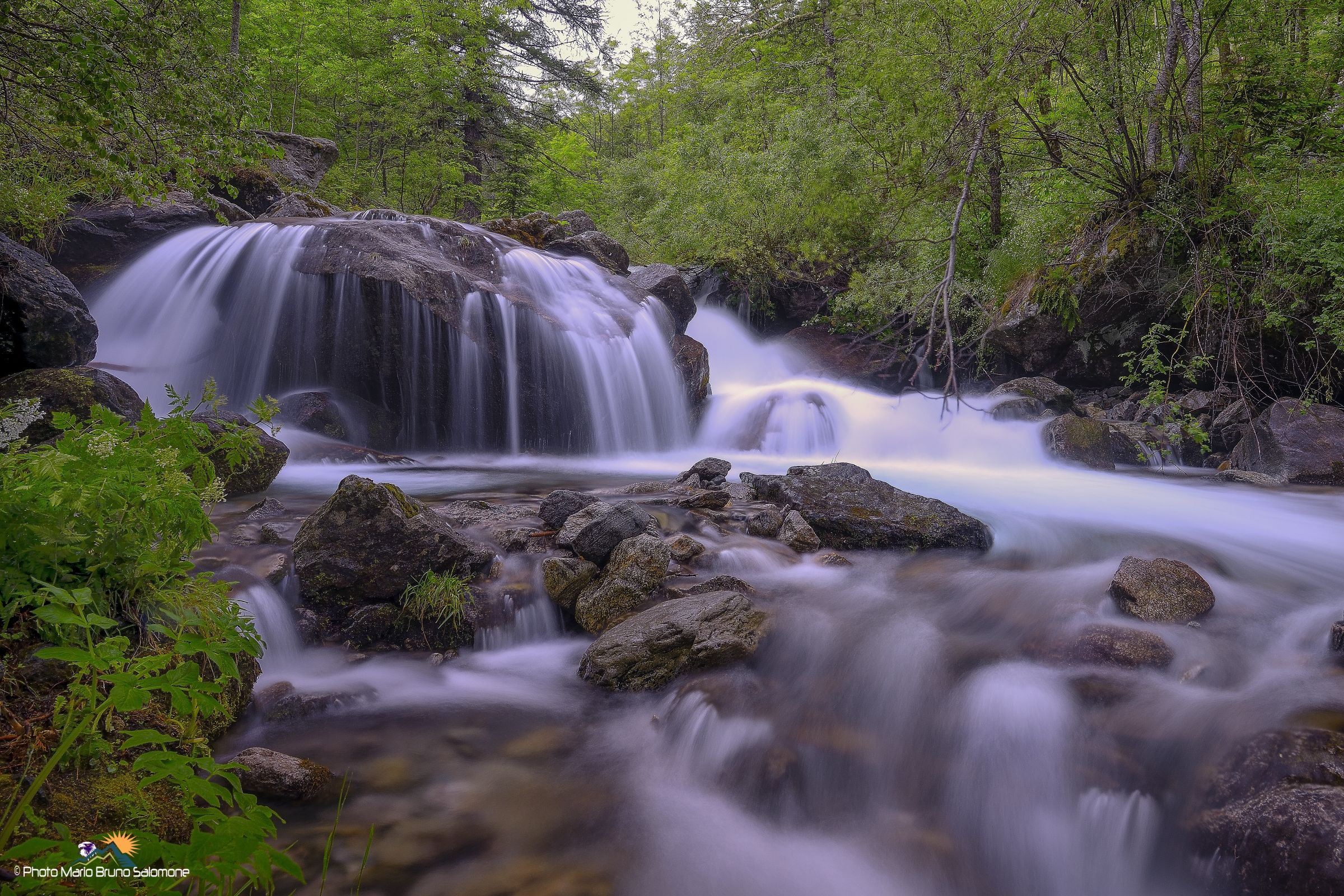 Lo scorrere dei colori.
