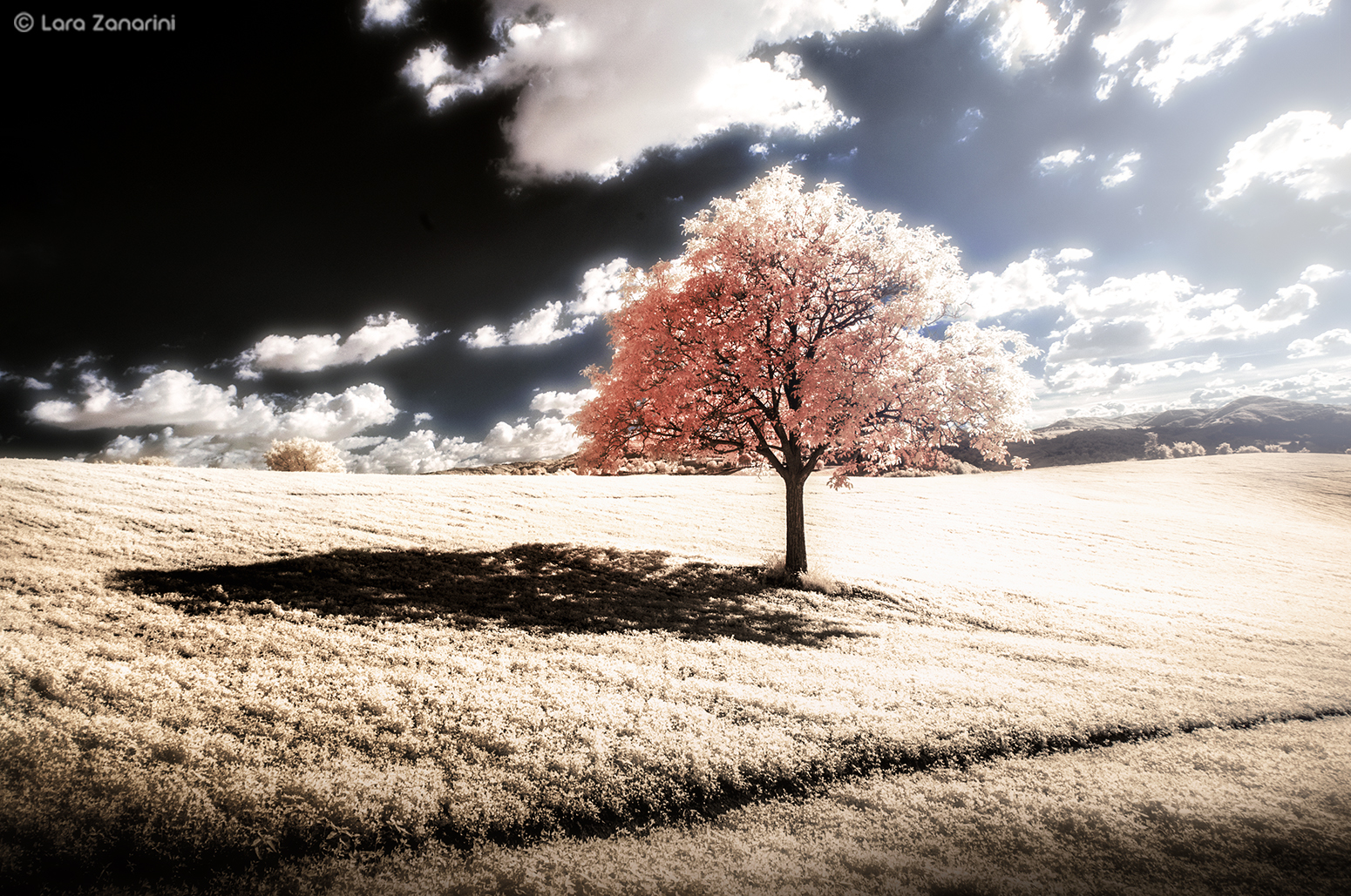 "... The moment the whole world drown out ..."