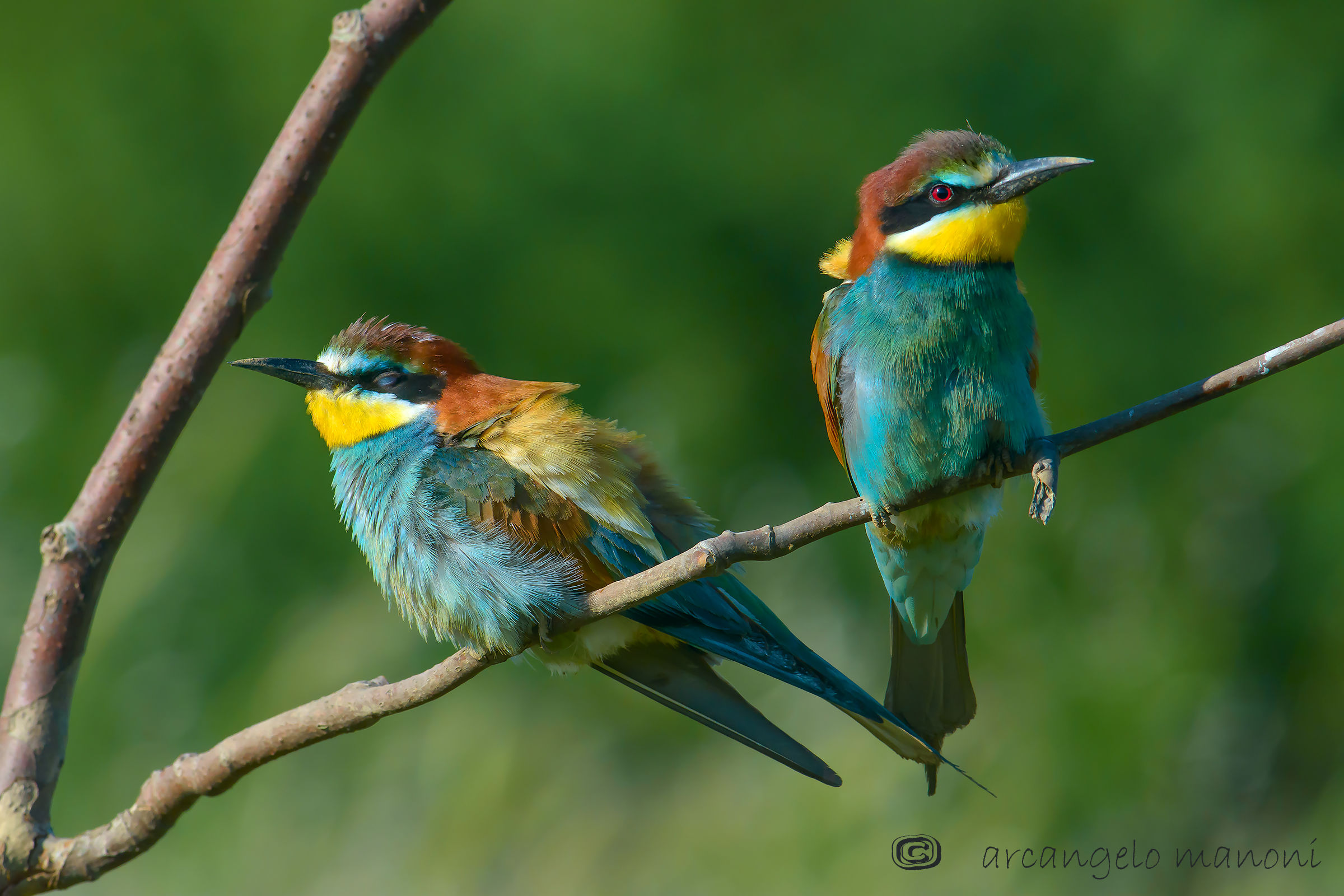 Il dormiente e lo sveglio