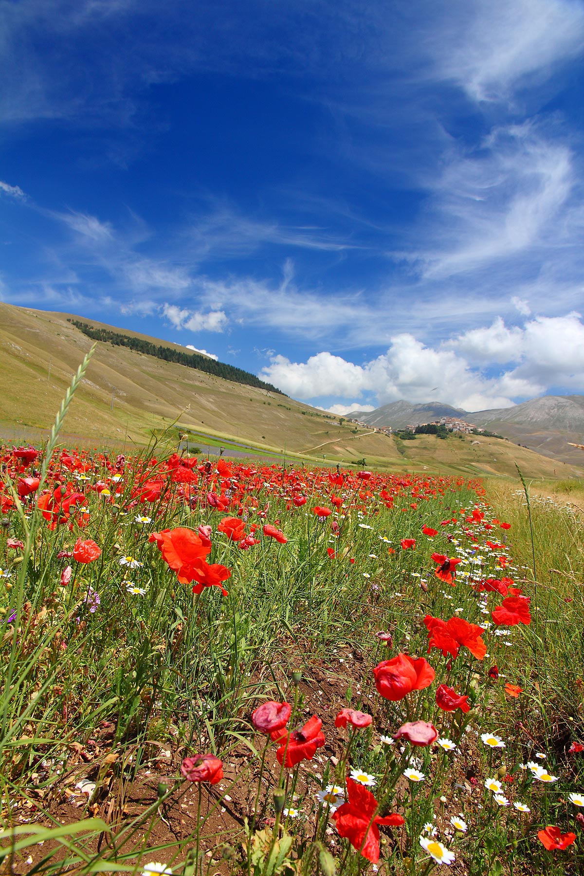 Verso Castelluccio...