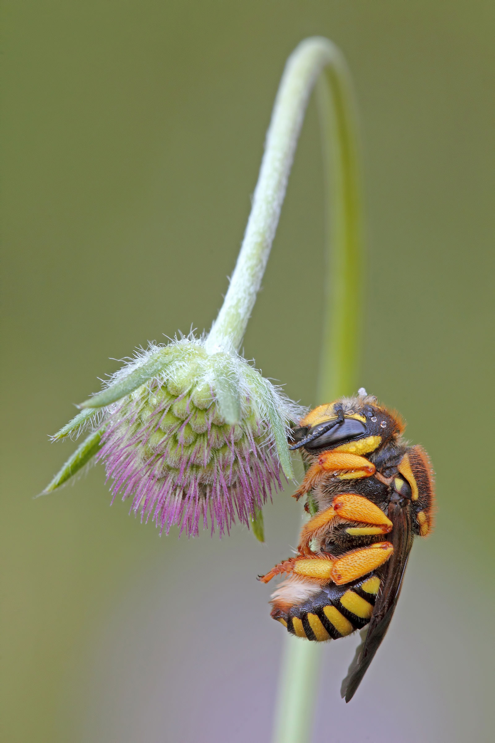.... Every night under that lamppost ...