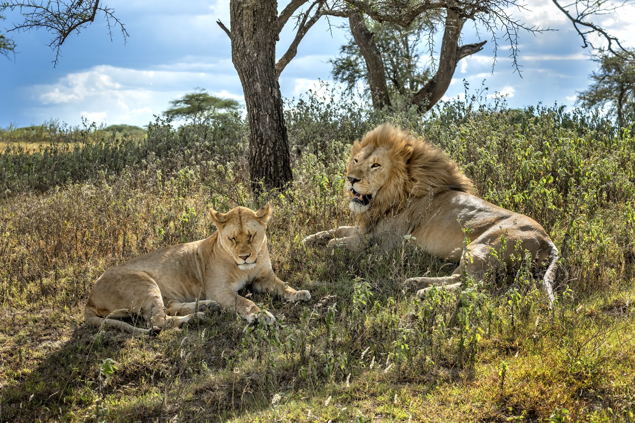 Tanzania 2016 - La coppia
