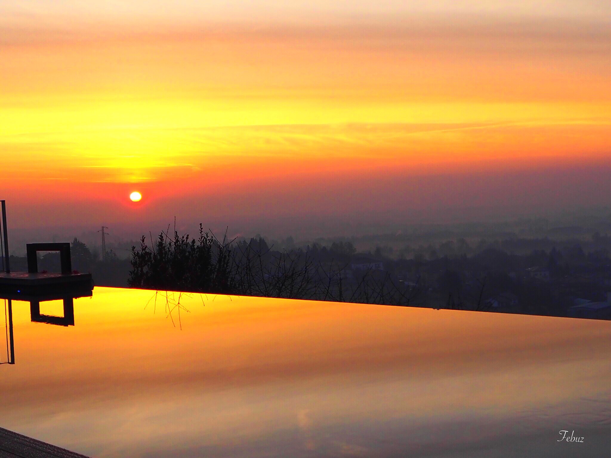 Alba ... in the pool