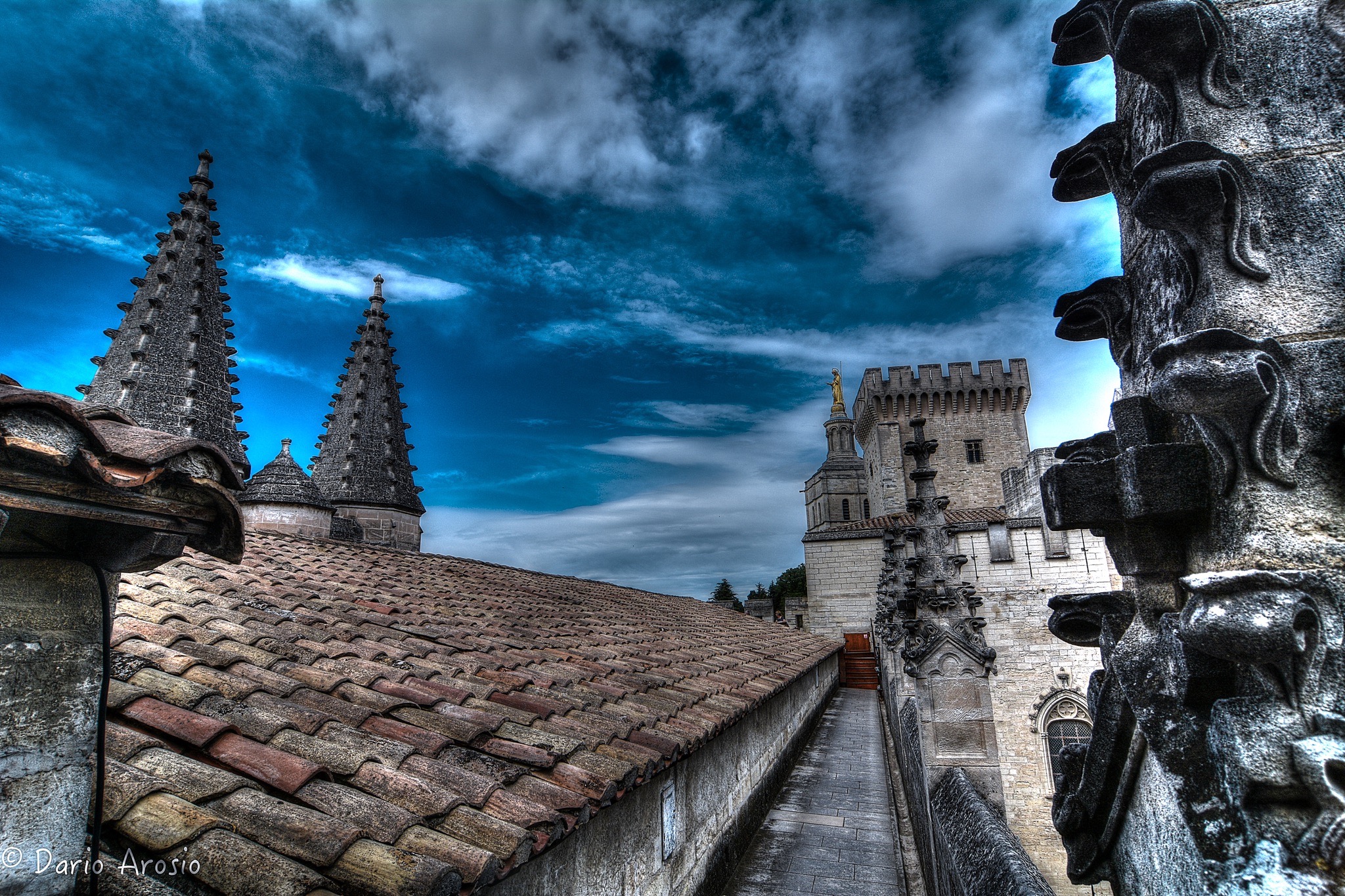 Palace of the Popes in Avignon