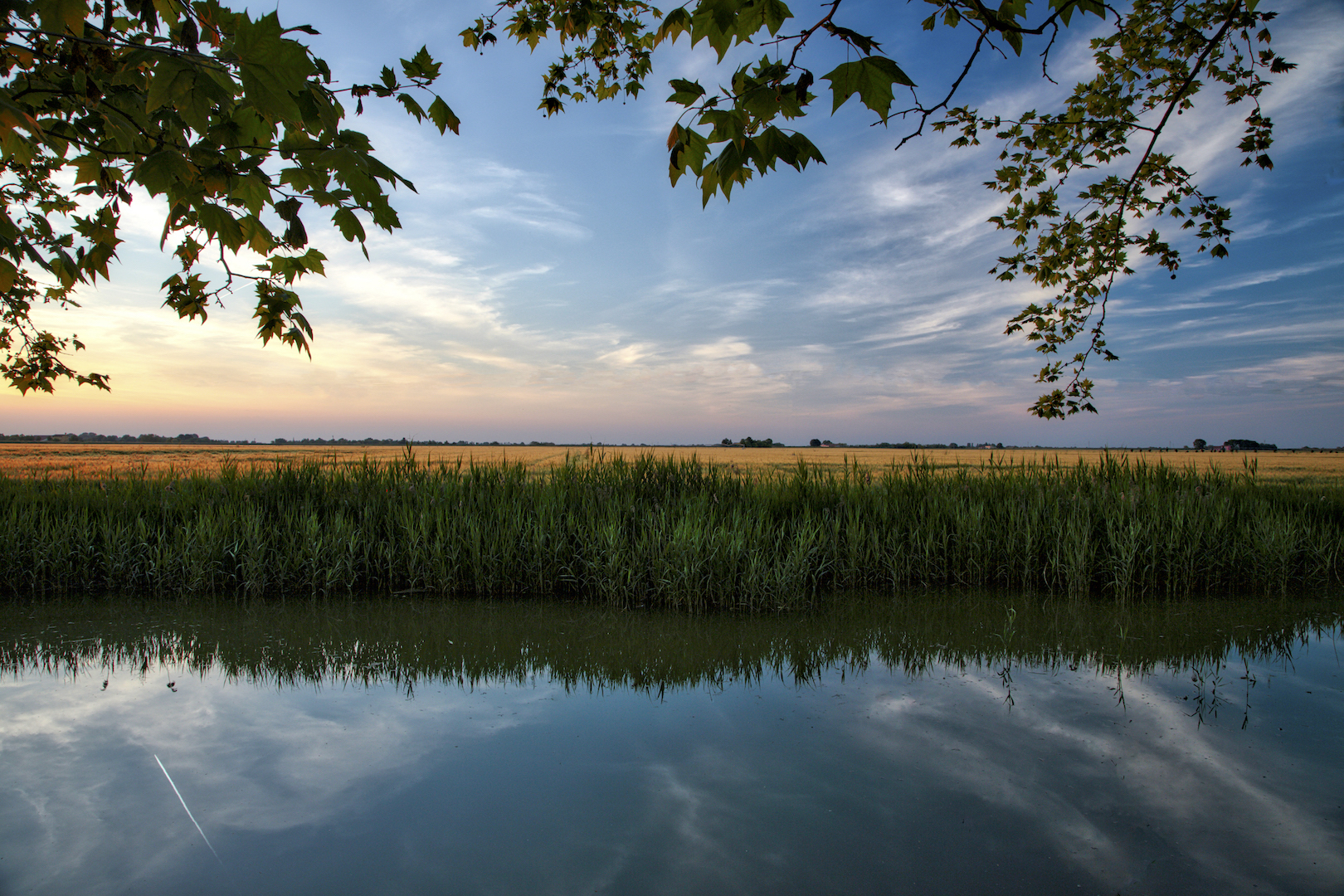 In nature the evening approaches