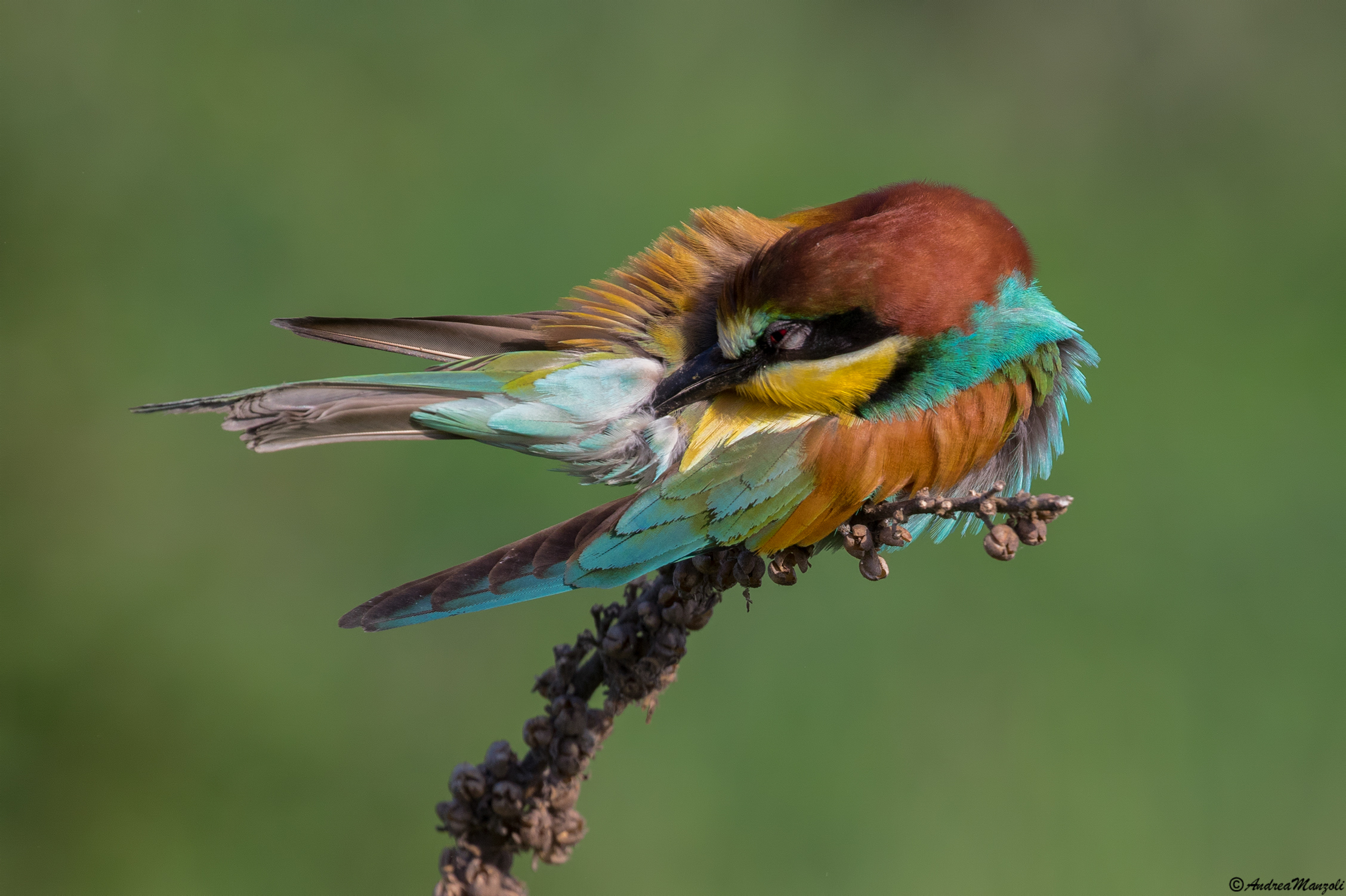 I have to make it presentable !!!