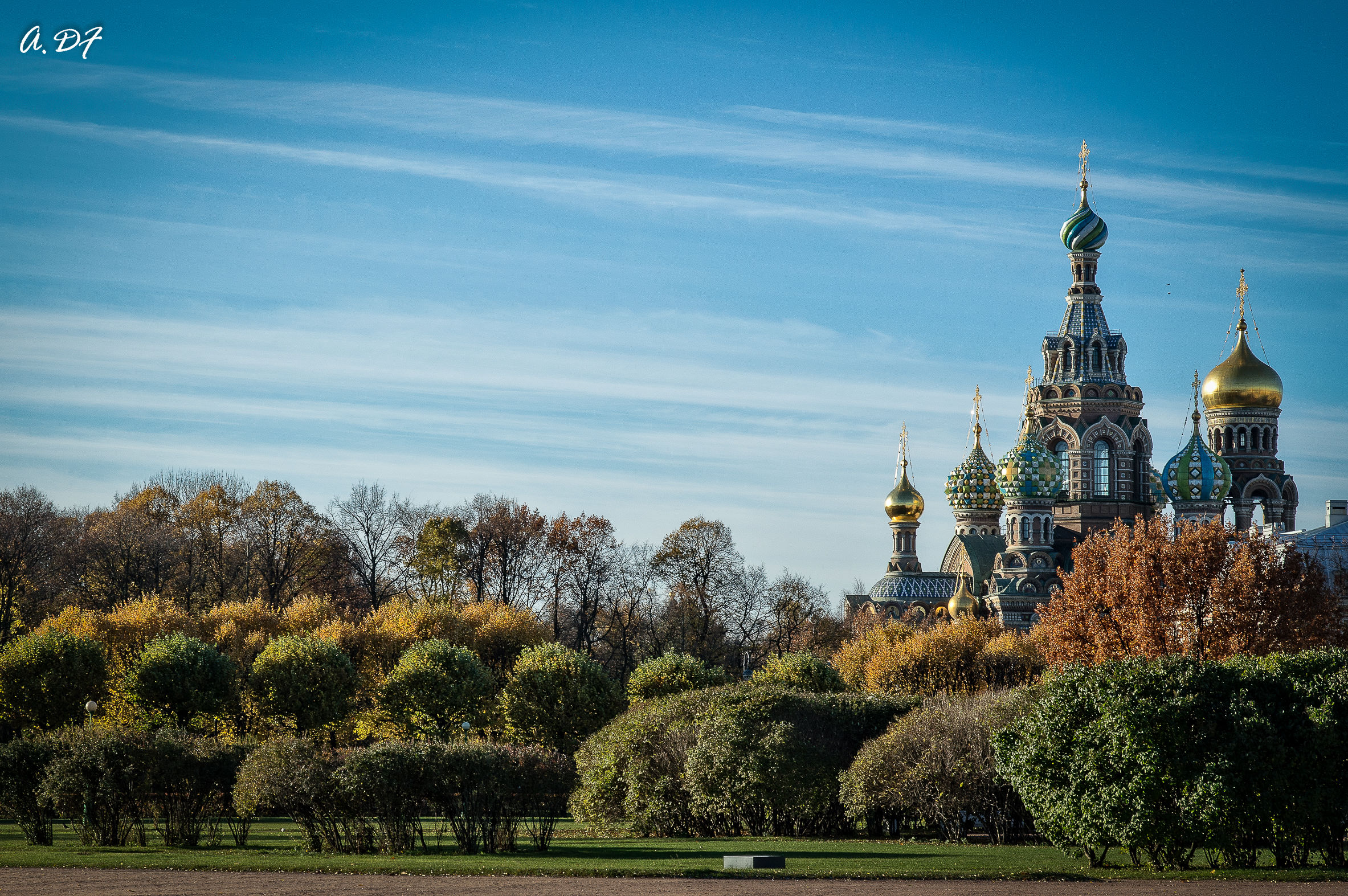 Observing the domes in St. Petersburg.