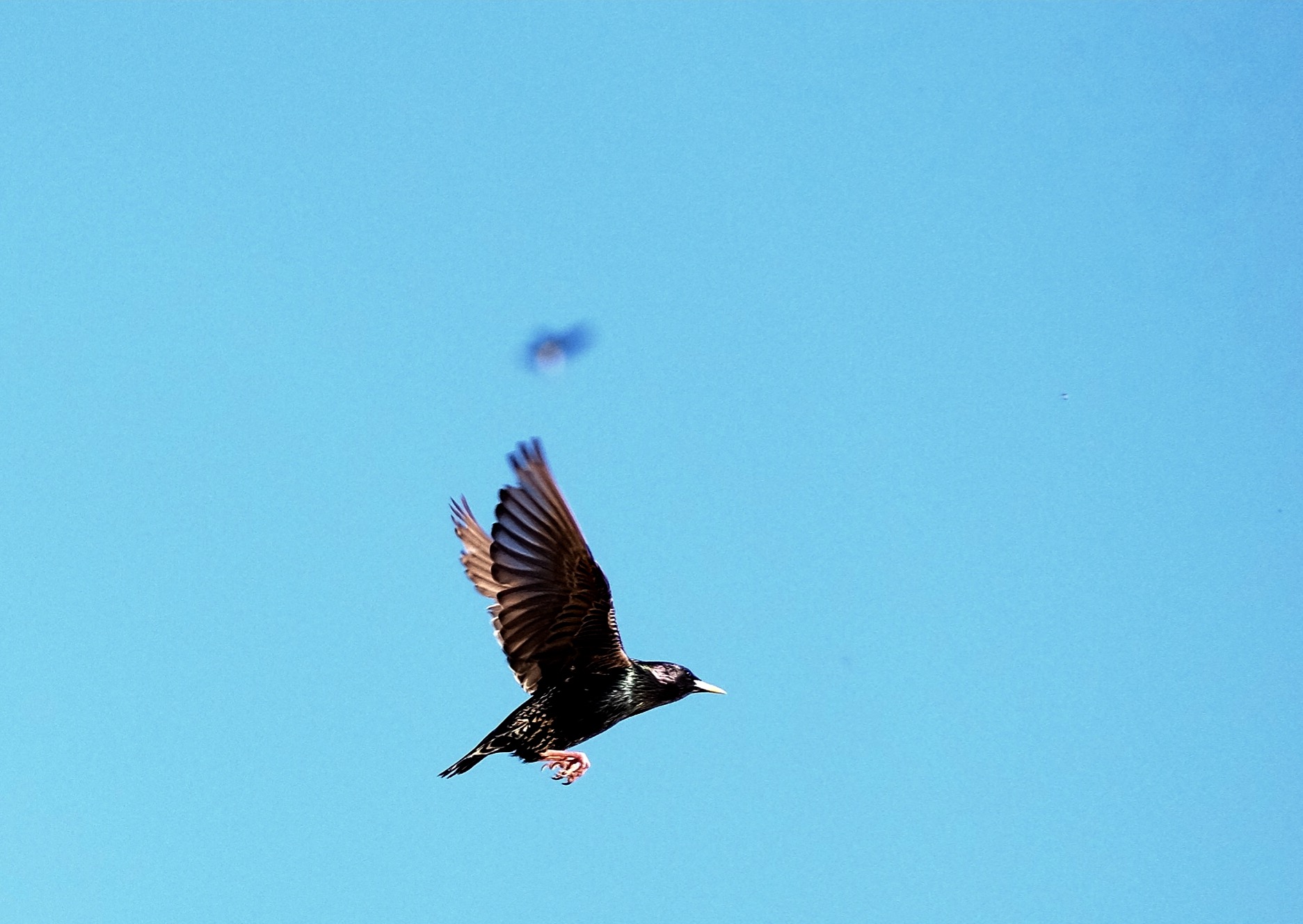 in flight cancellation