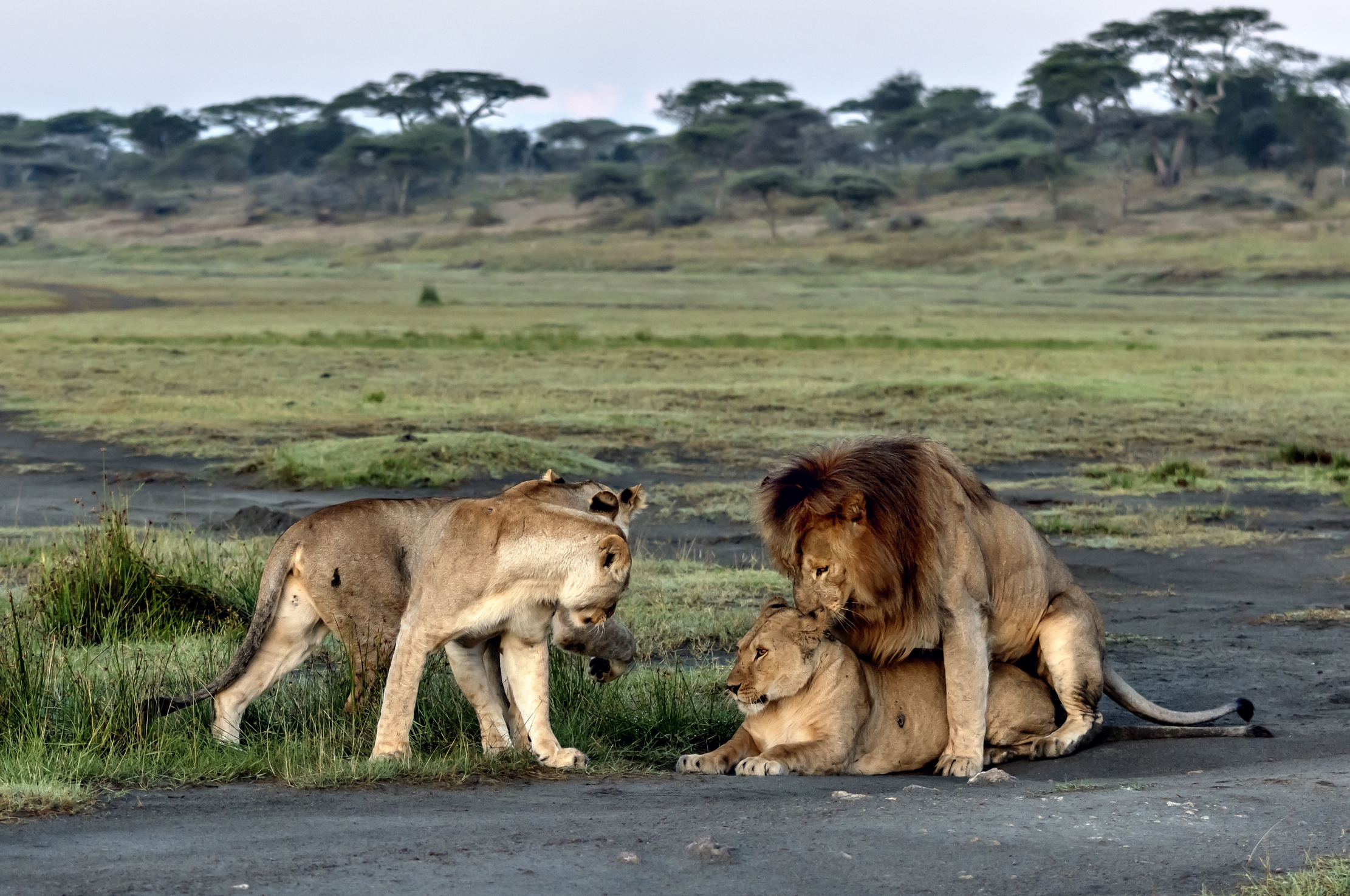 Tanzania 2016 - Con il controllo delle sorelle