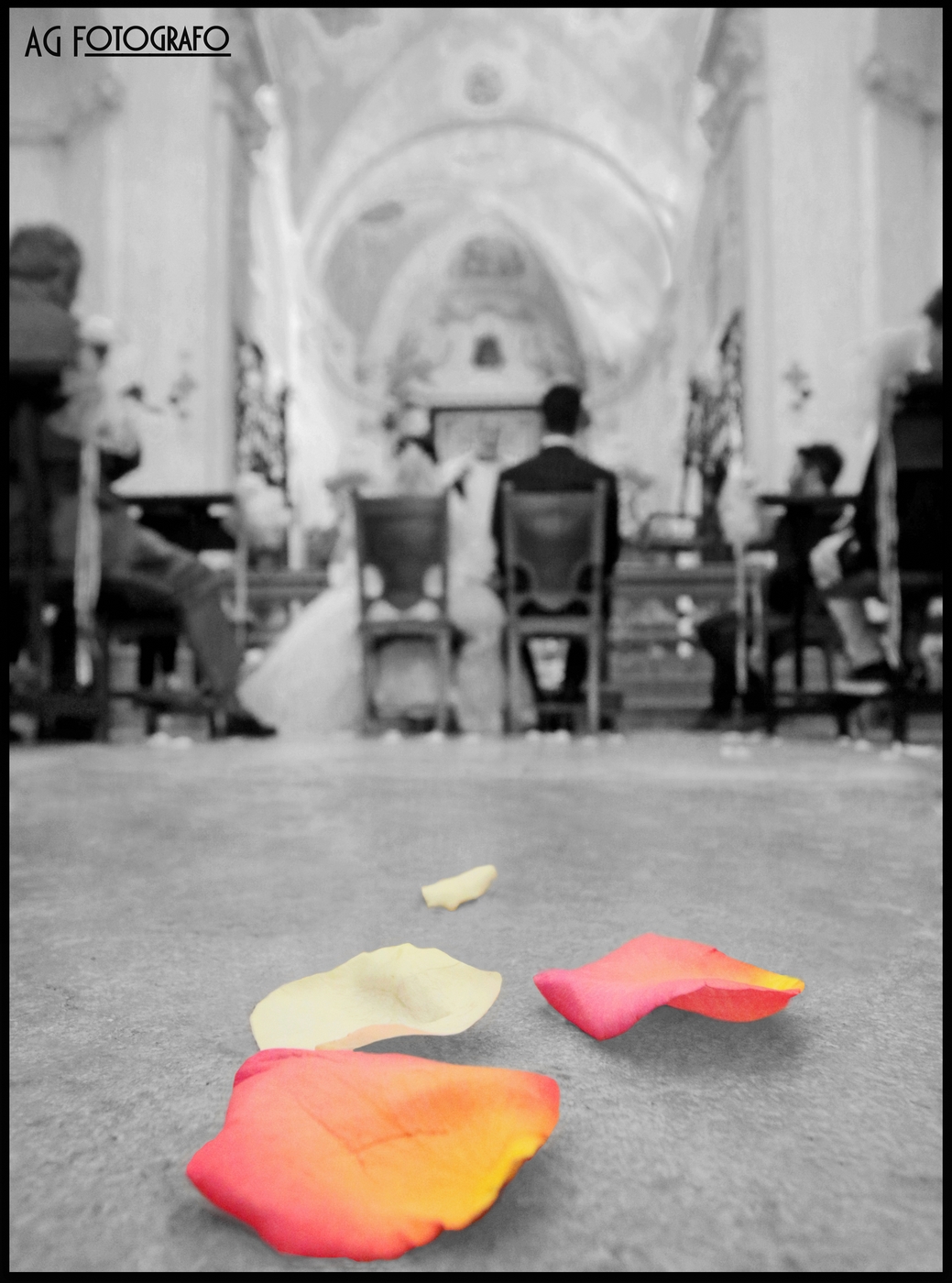 Canon 5d mark iii tamron 24 70 2.8