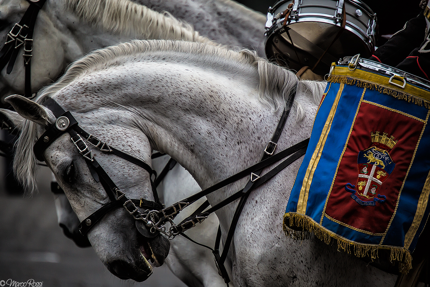 Sfilata 2 giugno Roma