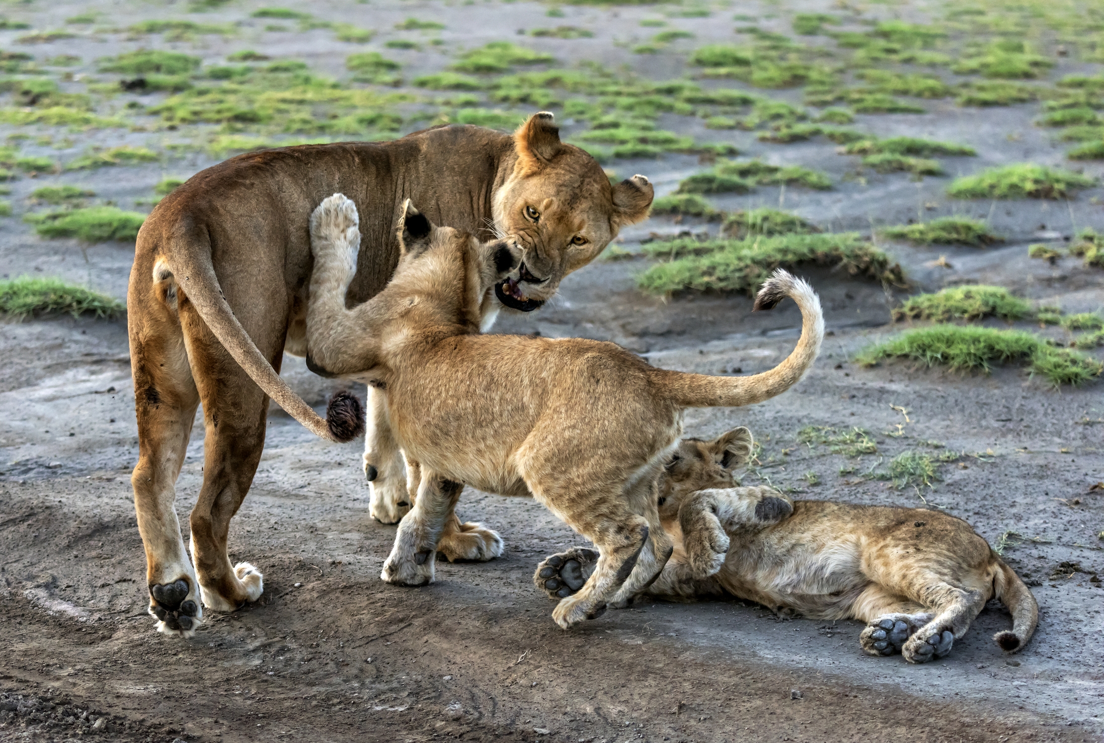 Tanzania 2016- Giochi