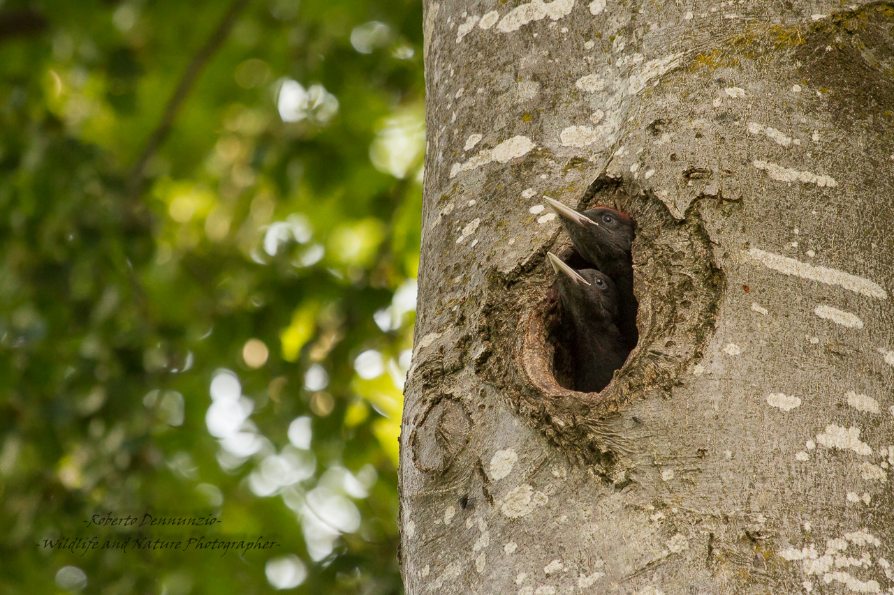 Verso l'infinito e oltre