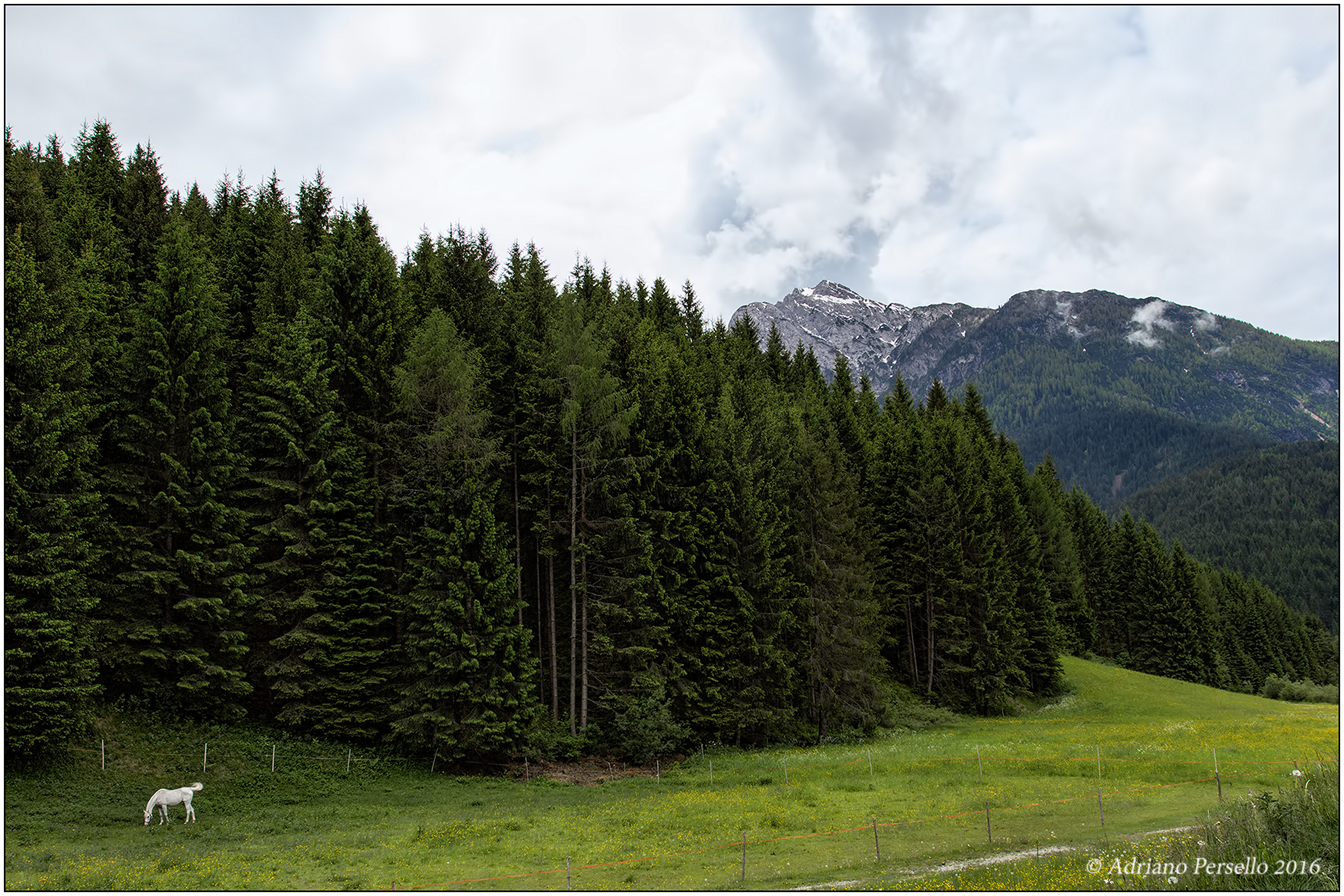 Santo Stefano di Cadore