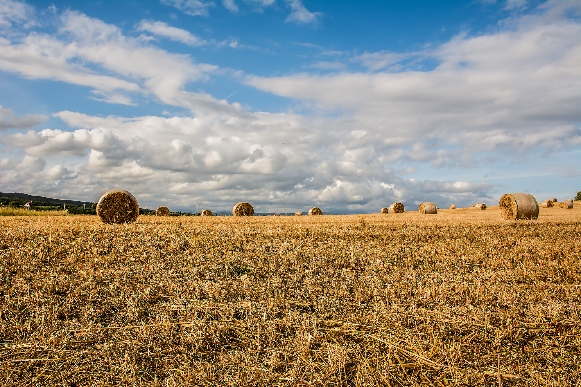 Tuscan bales ..
