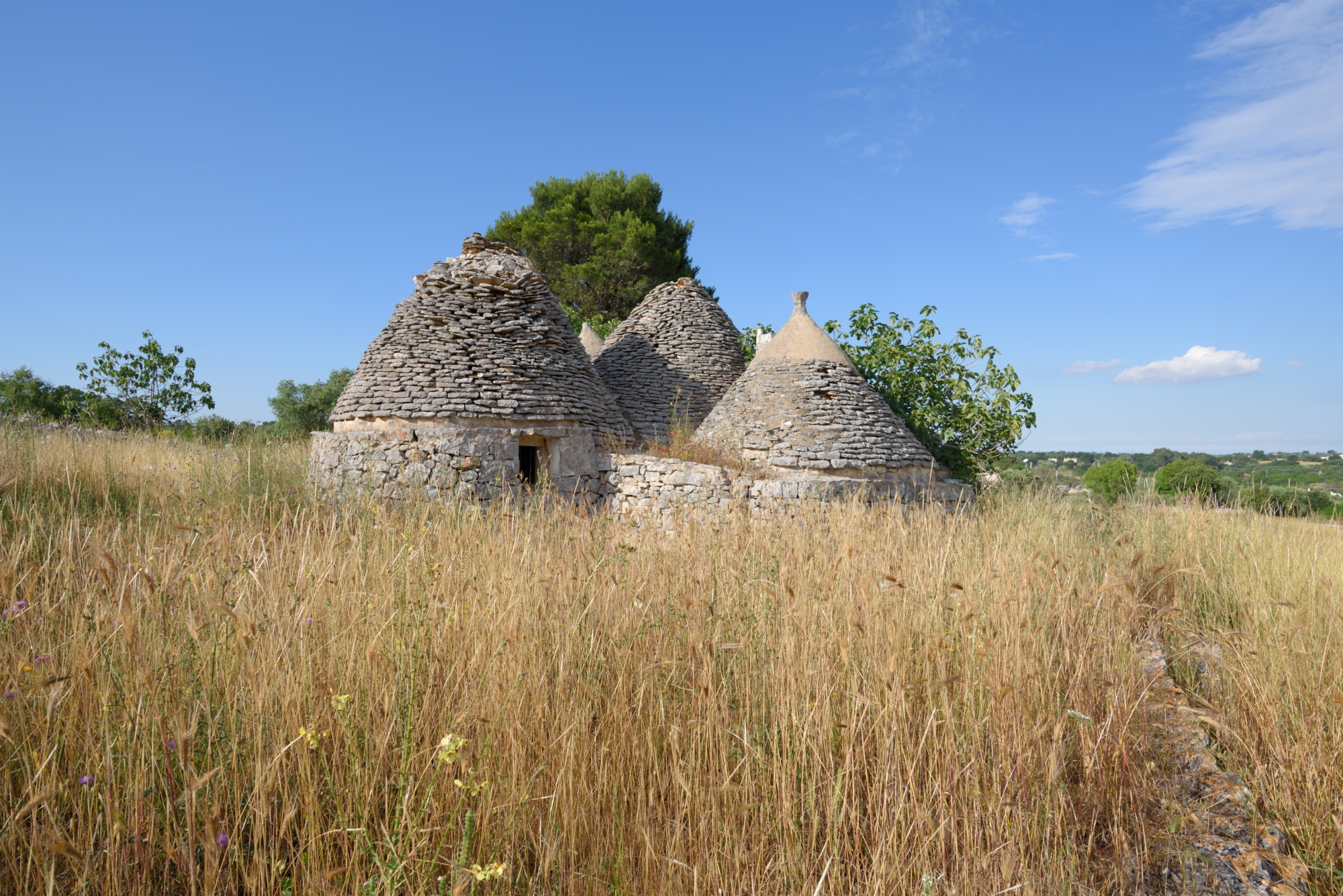 The Murge of the Puglia