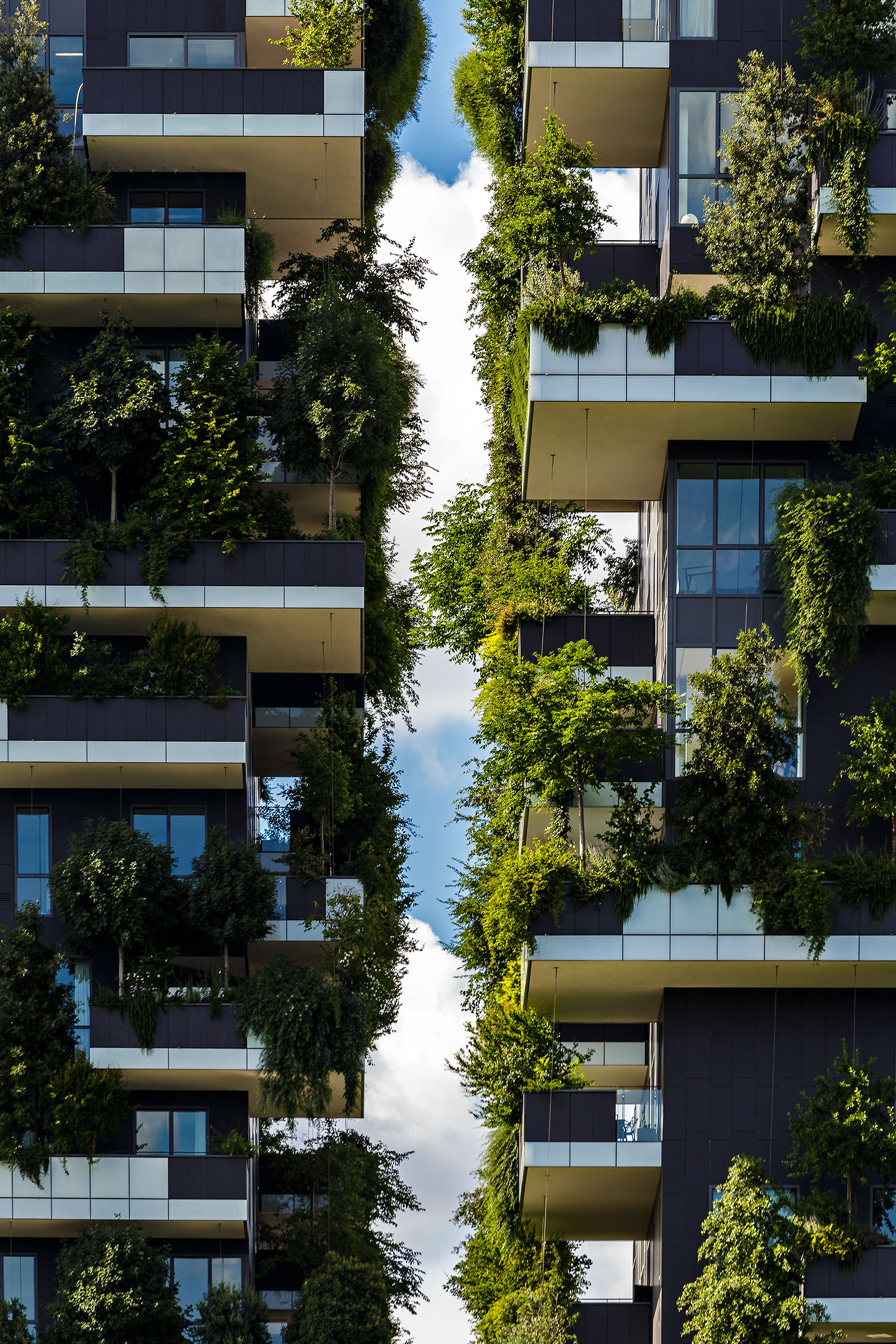Vertical forest