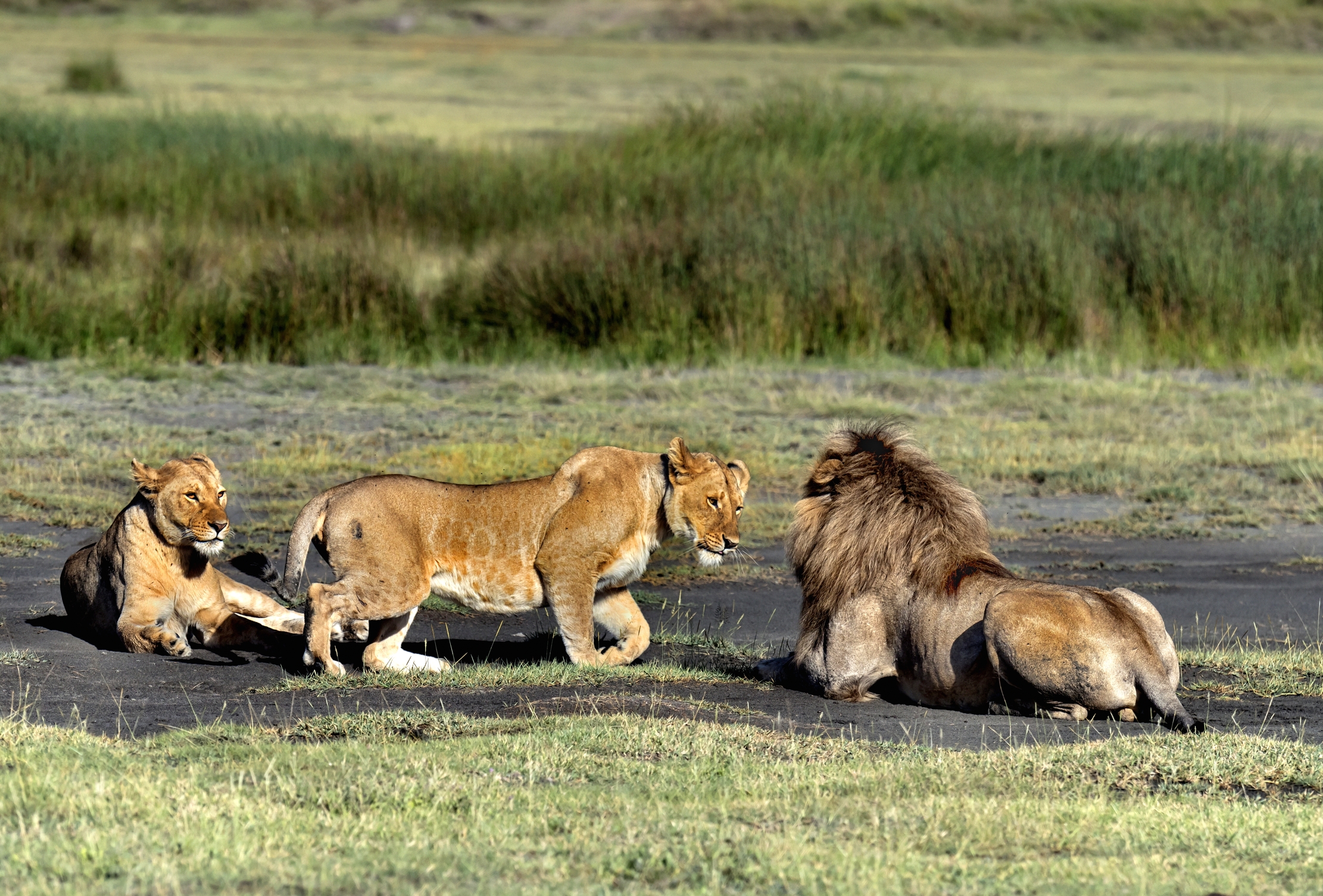 Tanzania 2016 - Triangolo