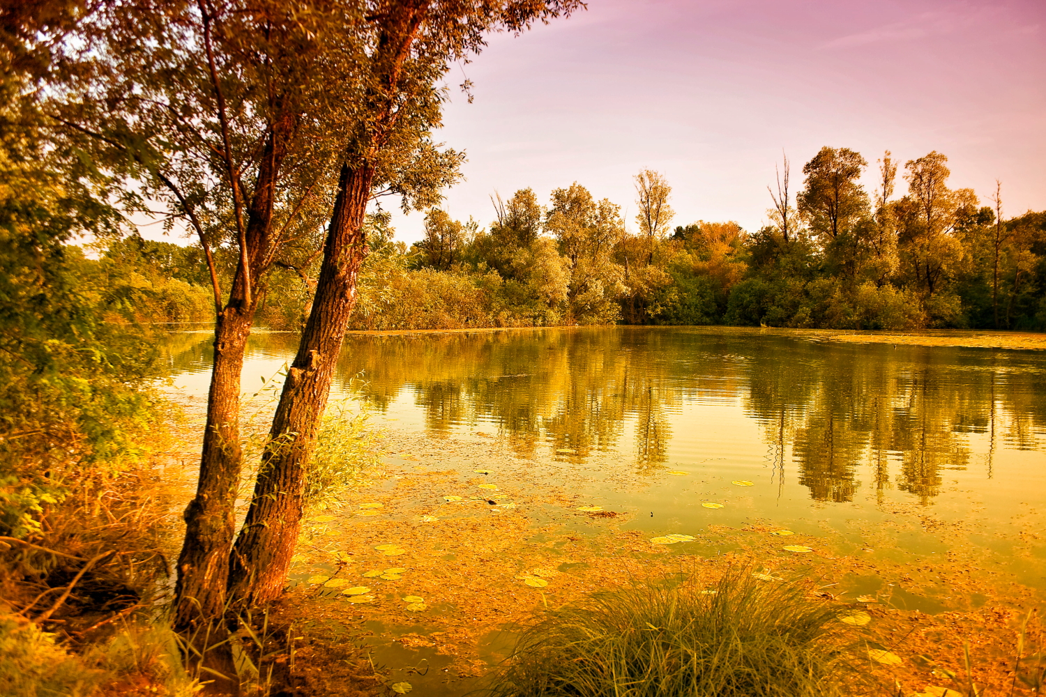 san Daniele del Friuli