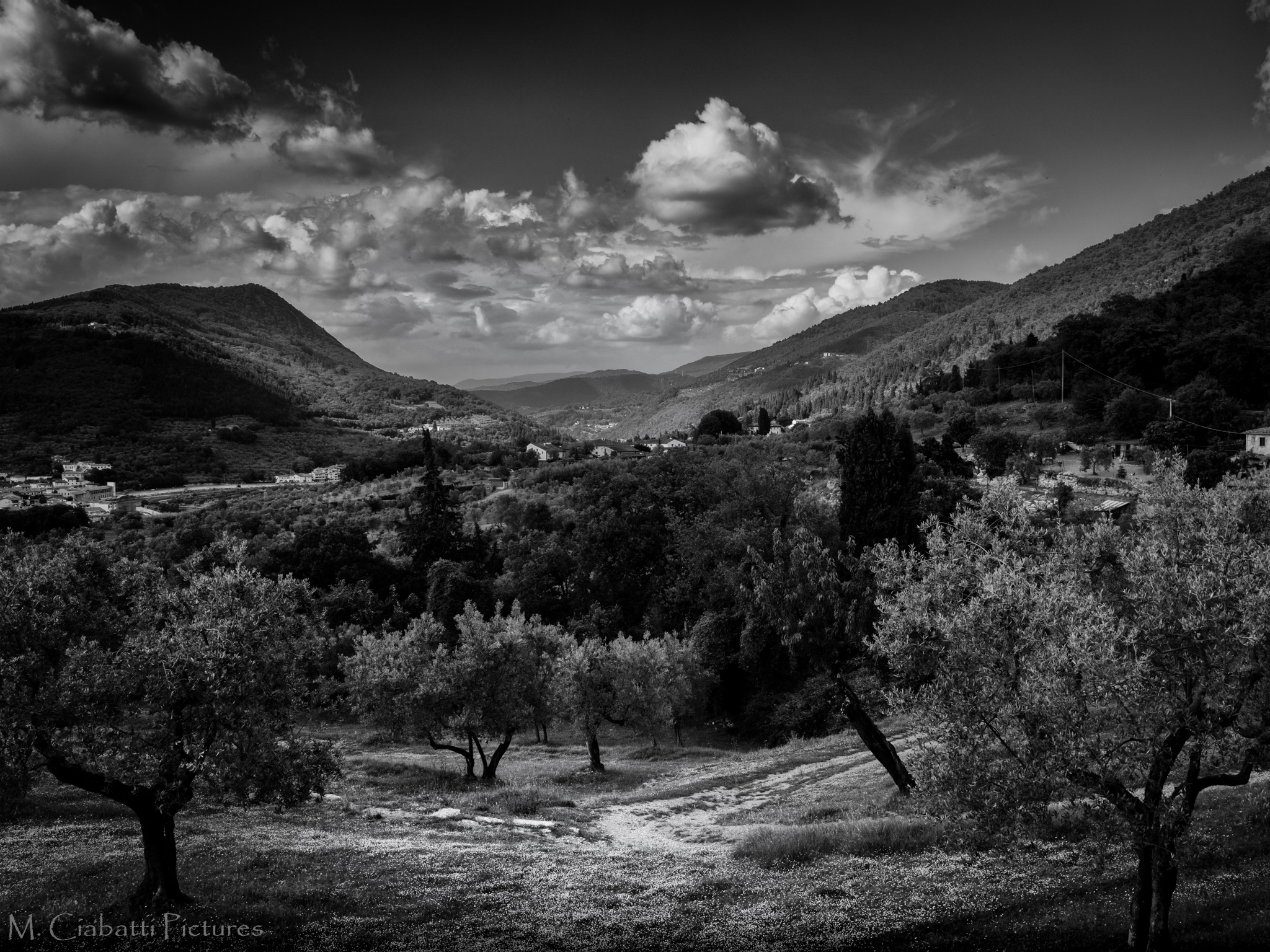 Lights and contrasts