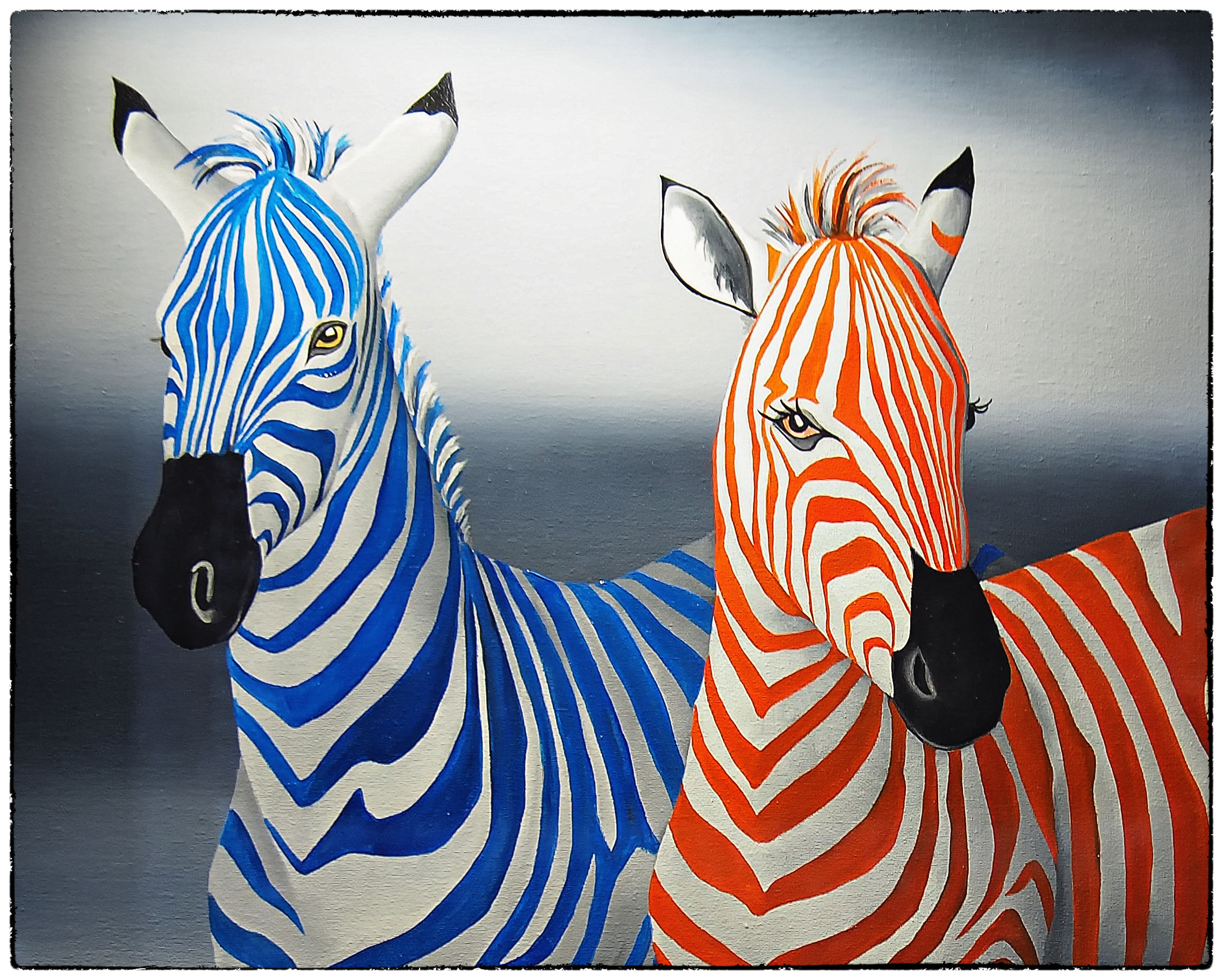 color zebras
