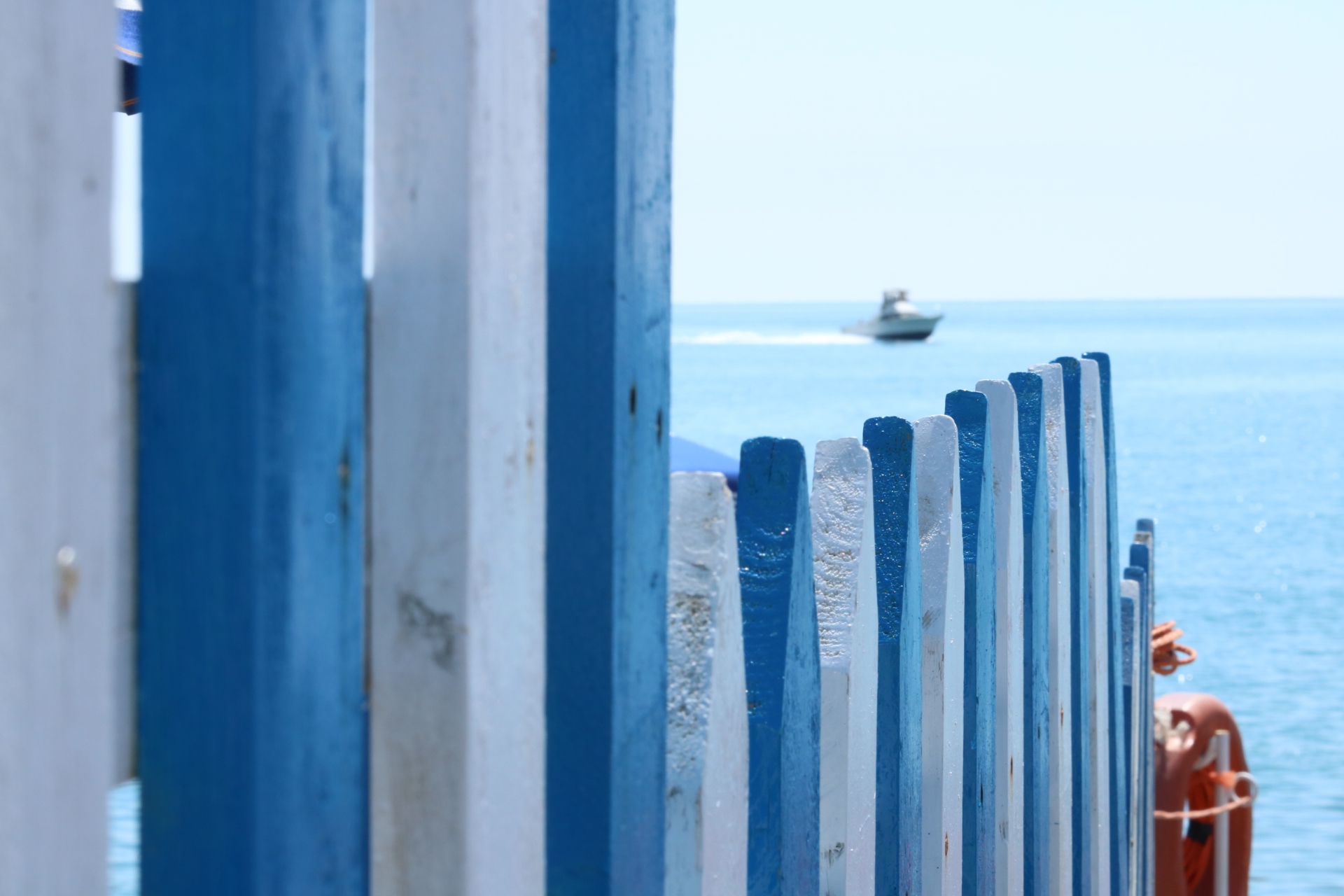 Blackboard / Liguria