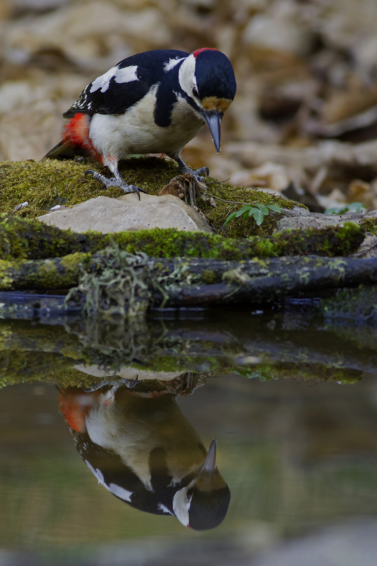 Mirror on the wall .....