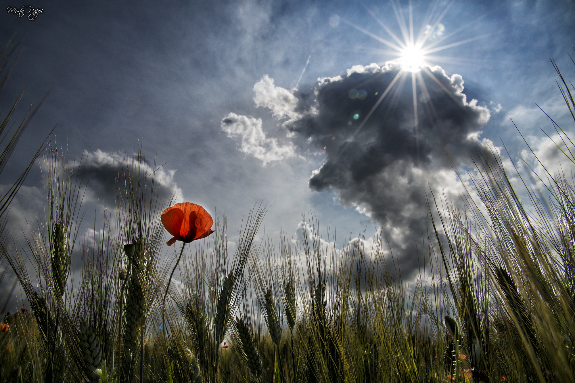 Temporale in arrivo?