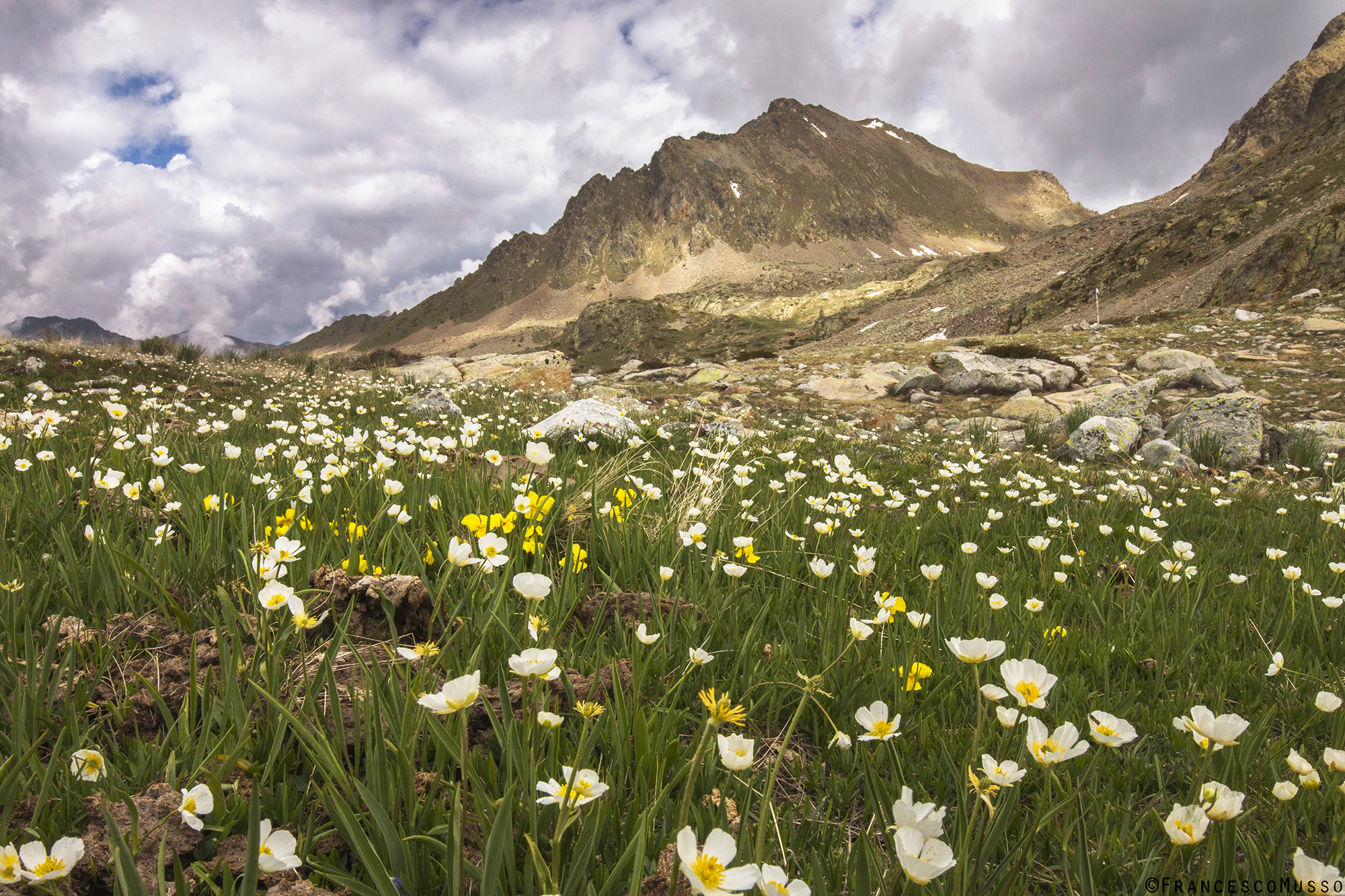 Colle della Lombarda