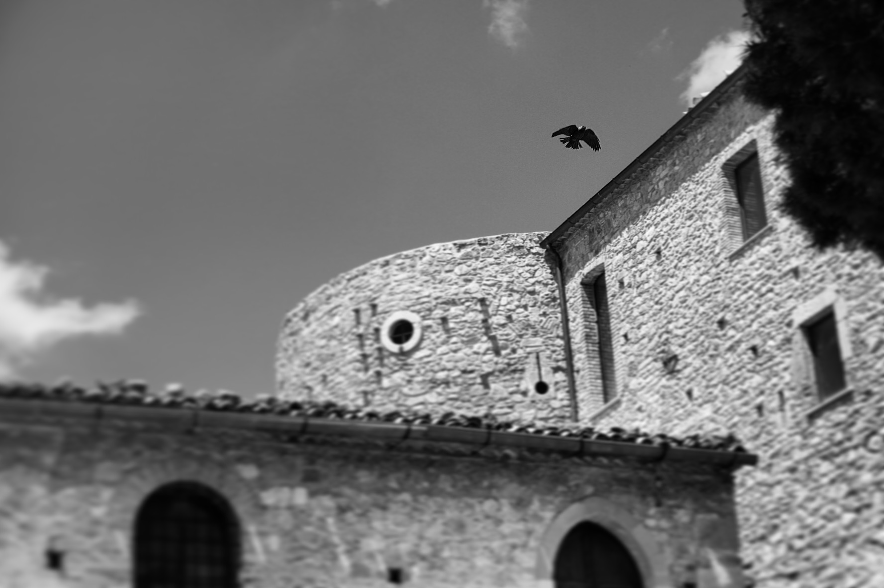 Ali scure, oscure parole