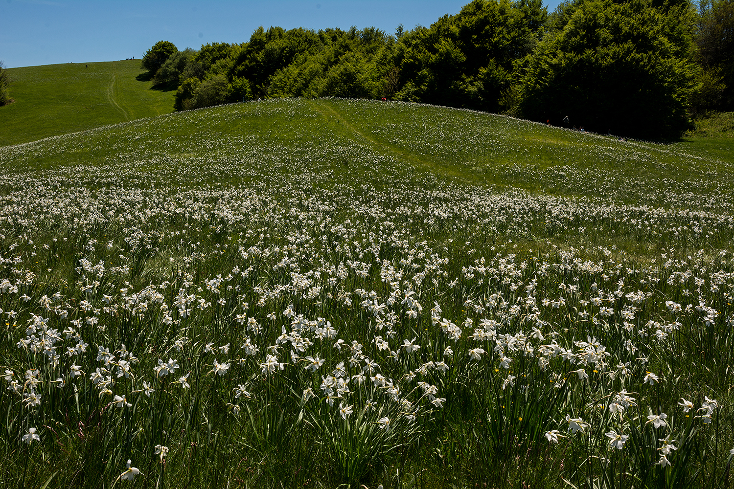 The beauty of Pian della Cavalla