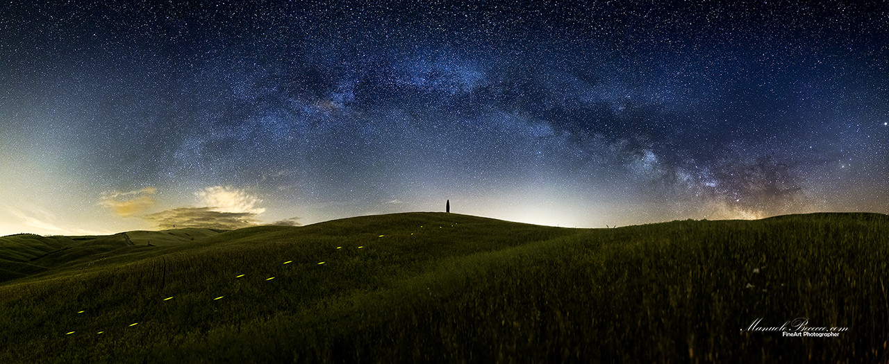 The path of fireflies