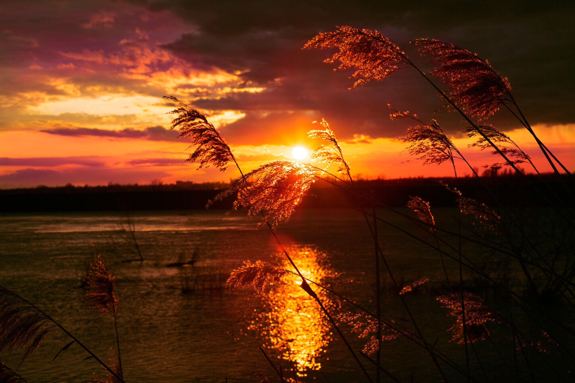 Red sky at night ...