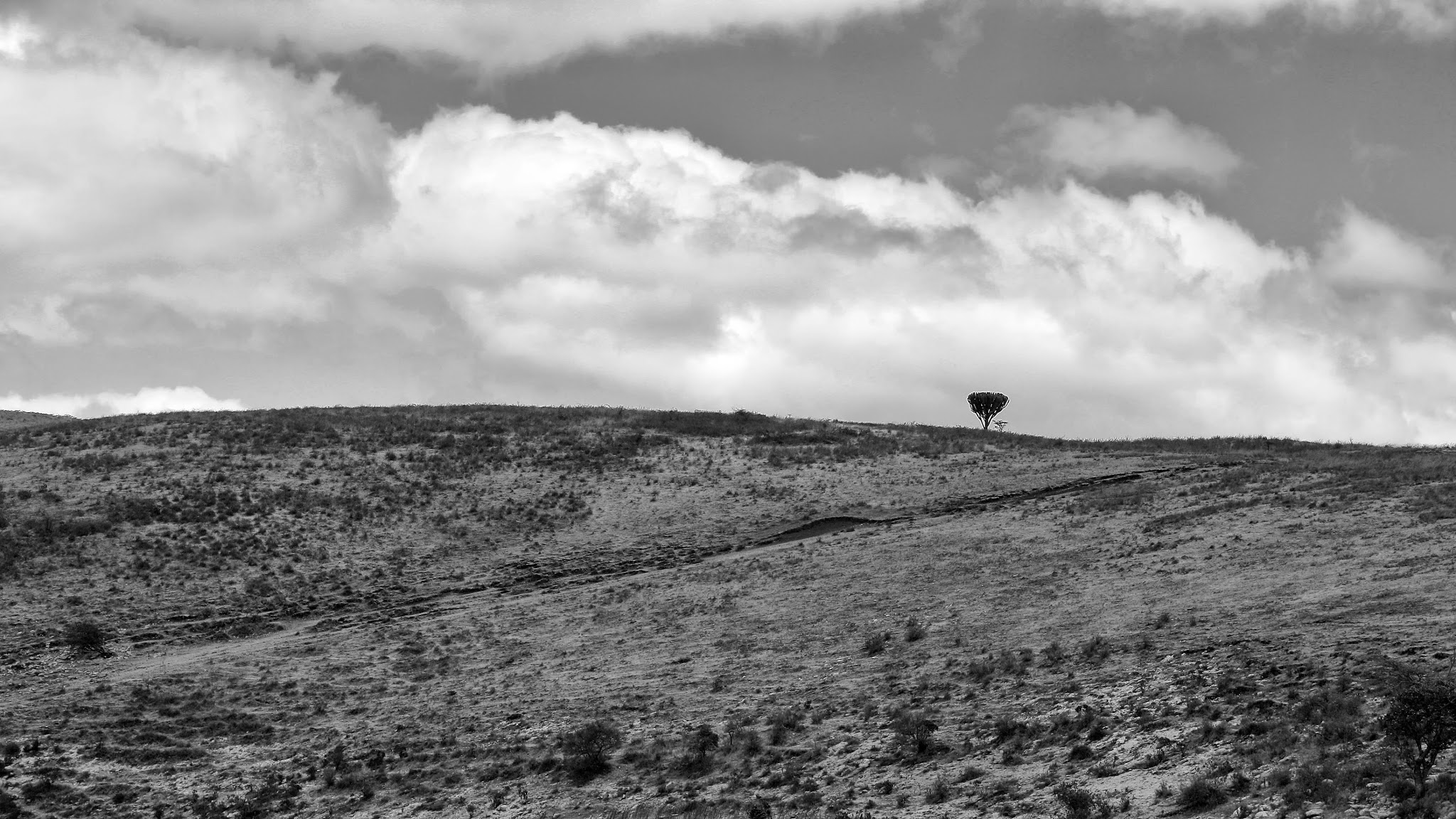 "Do not put the horizon in the middle of the picture&qu...