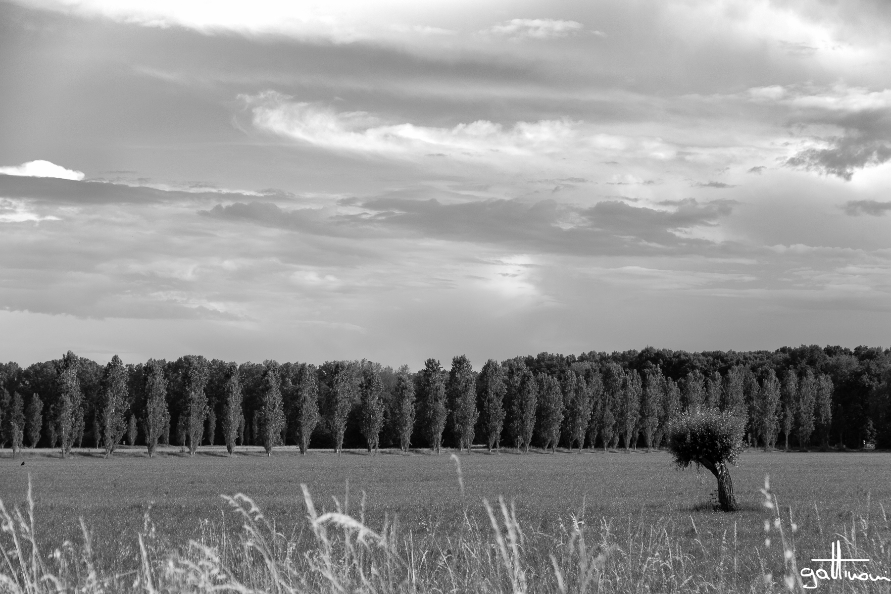 The lawns around Stupinigi