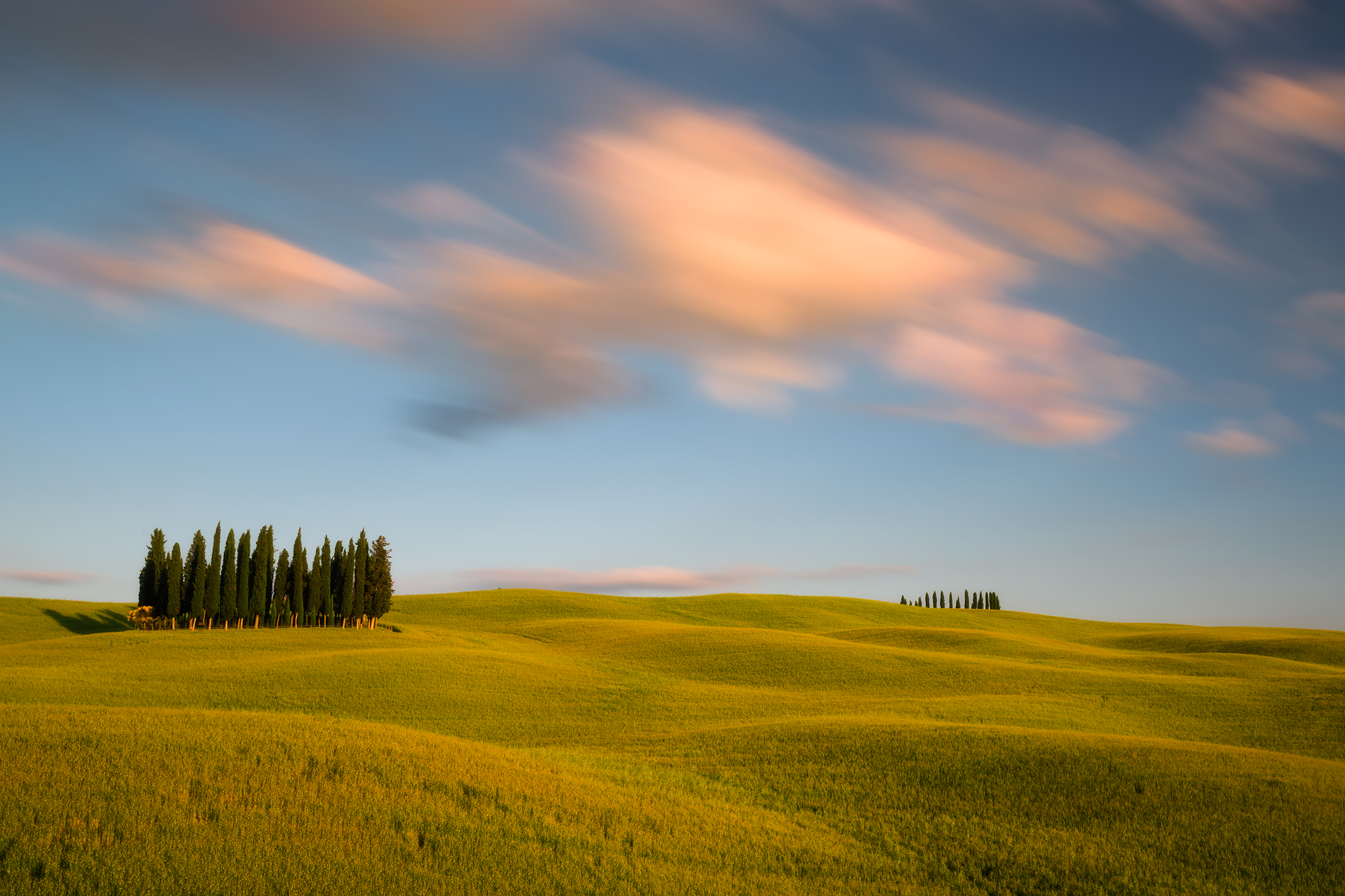 Primavera in val d'Orcia